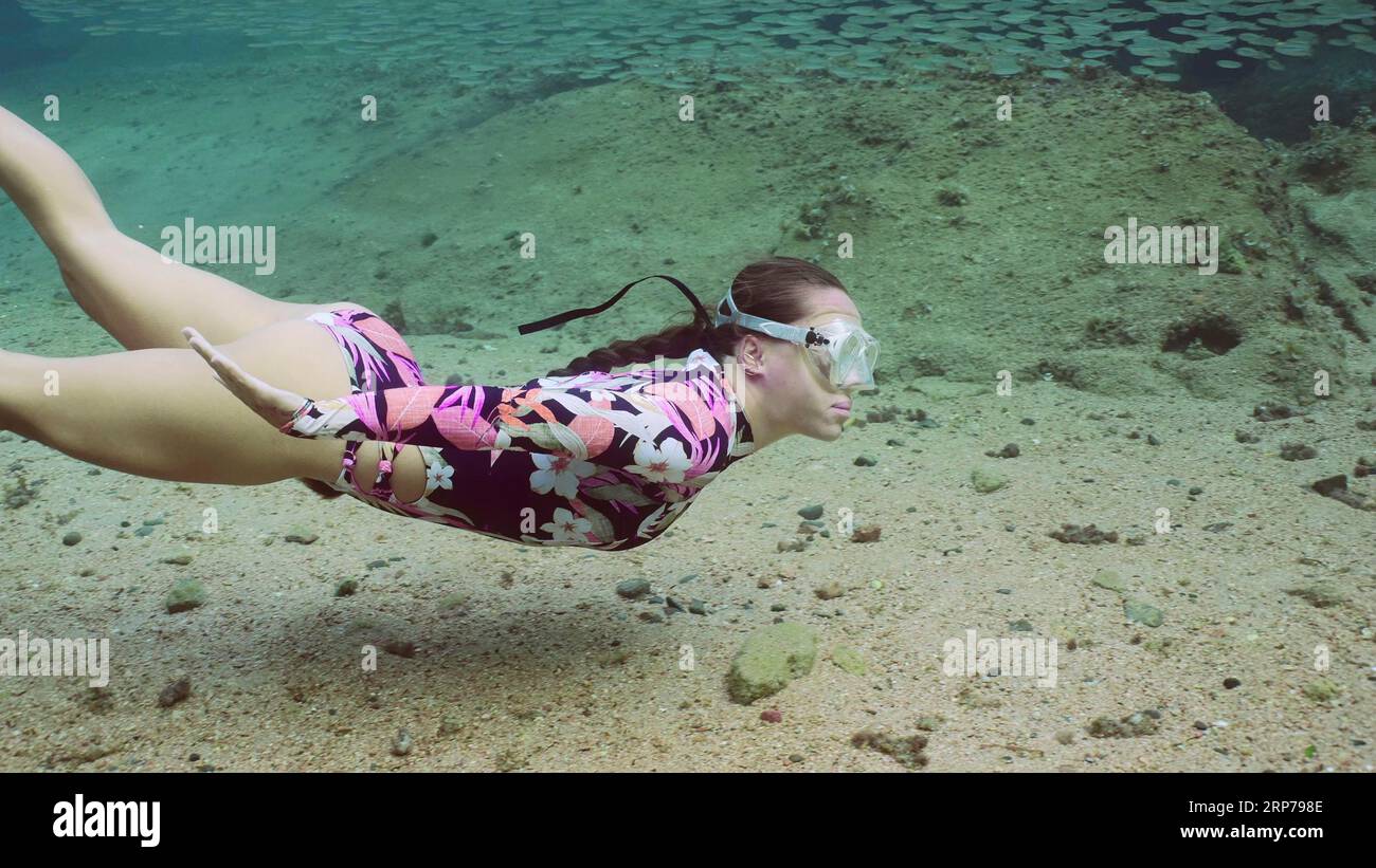 Girl Freediver nage sous un grand banc de sprat et regarde des poissons, Mer Rouge, Egypte Banque D'Images