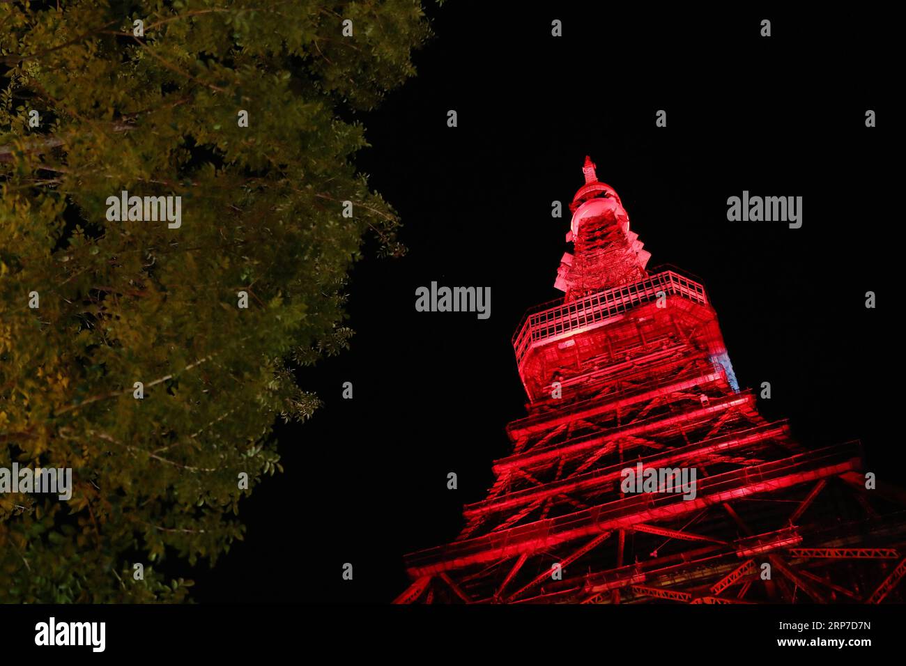 (190204) -- TOKYO, 4 février 2019 (Xinhua) -- une photo prise le 4 février 2019 montre que la tour de Tokyo s'est illuminée en rouge pour célébrer le nouvel an chinois à Tokyo, au Japon. (Xinhua/du Xiaoyi) JAPON-TOUR DE TOKYO-CÉLÉBRATION DU NOUVEL AN CHINOIS PUBLICATIONxNOTxINxCHN Banque D'Images