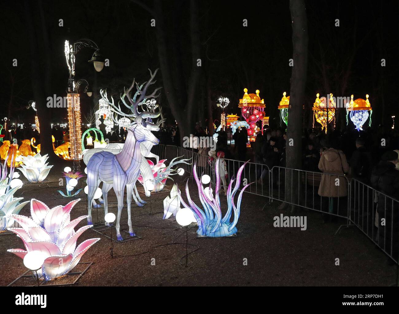 (190204) -- BELGRADE, le 4 février 2019 -- les gens visitent le Festival de la lumière chinoise dans le parc Kalemegdan au centre-ville de Belgrade, Serbie, le 4 février 2019. Le Festival de la lumière chinoise a lieu ici du 4 au 24 février pour célébrer le nouvel an lunaire chinois. ) SERBIE-BELGRADE-CHINESE LIGHT FESTIVAL PredragxMilosavljevic PUBLICATIONxNOTxINxCHN Banque D'Images