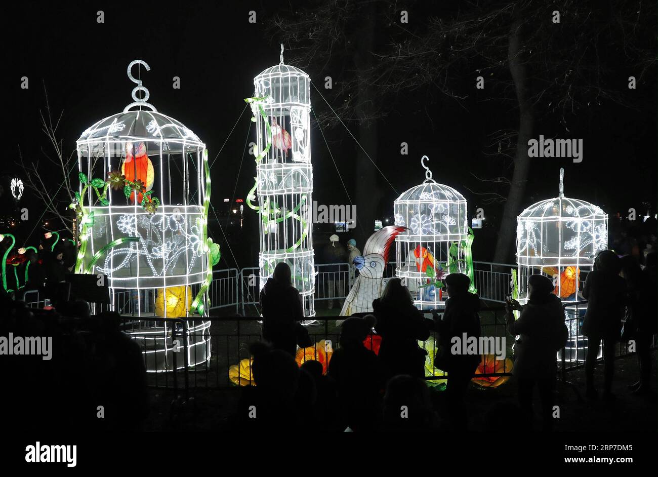 (190204) -- BELGRADE, le 4 février 2019 -- les gens visitent le Festival de la lumière chinoise dans le parc Kalemegdan au centre-ville de Belgrade, Serbie, le 4 février 2019. Le Festival de la lumière chinoise a lieu ici du 4 au 24 février pour célébrer le nouvel an lunaire chinois. ) SERBIE-BELGRADE-CHINESE LIGHT FESTIVAL PredragxMilosavljevic PUBLICATIONxNOTxINxCHN Banque D'Images