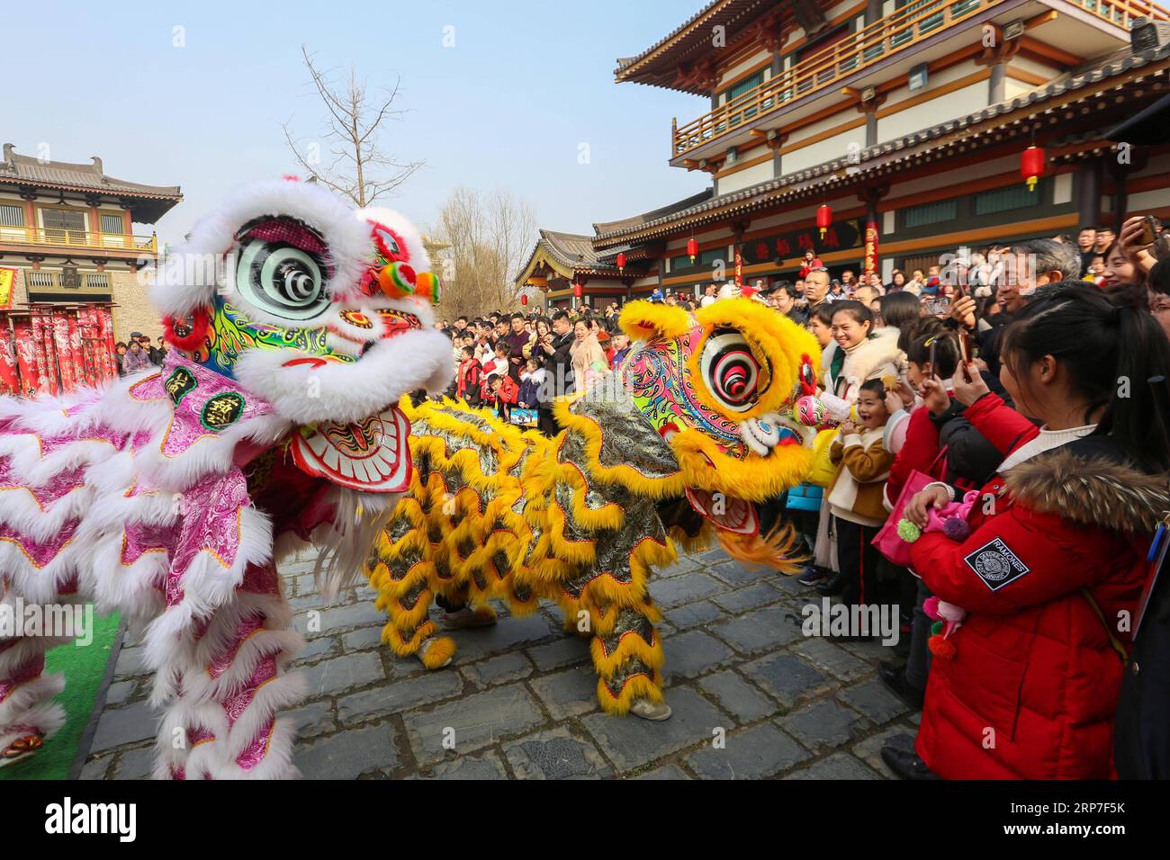 (190205) -- XIANGYANG, 5 février 2019 (Xinhua) -- des touristes assistent à la danse du lion à une foire du temple à Xiangyang, dans la province du Hubei, au centre de la Chine, le 5 février 2019, premier jour du nouvel an lunaire chinois. (Xinhua/Yang Dong) CHINE-PRINTEMPS FESTIVAL-COUTUME FOLKLORIQUE (CN) PUBLICATIONxNOTxINxCHN Banque D'Images