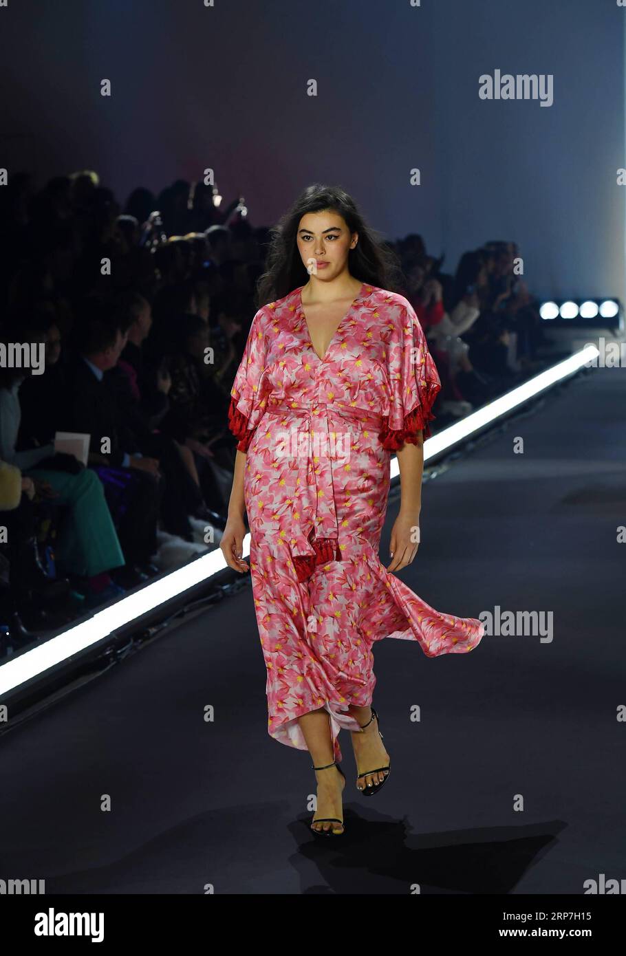 (190207) -- NEW YORK, le 7 février 2019 -- Un mannequin présente une création de 11 Honoré lors de la Fashion week de New York 2019 à New York, États-Unis, le 6 février 2019. La New York Fashion week 2019 a débuté ici mercredi et devrait durer jusqu'au 13 février. ) ETATS-UNIS-NEW YORK-OUVERTURE DE LA SEMAINE DE LA MODE LIXRUI PUBLICATIONXNOTXINXCHN Banque D'Images