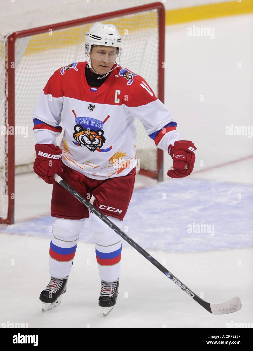 SOTCHI, RUSSIE - 15 FÉVRIER 2019 : le président russe Vladimir Poutine lors d'un match de hockey sur glace à l'aréna Shayba. /TASS les présidents de Russie et de Biélorussie jouent au hockey sur glace à Sotchi MikhailxMetzel PUBLICATIONxNOTxINxCHN Banque D'Images
