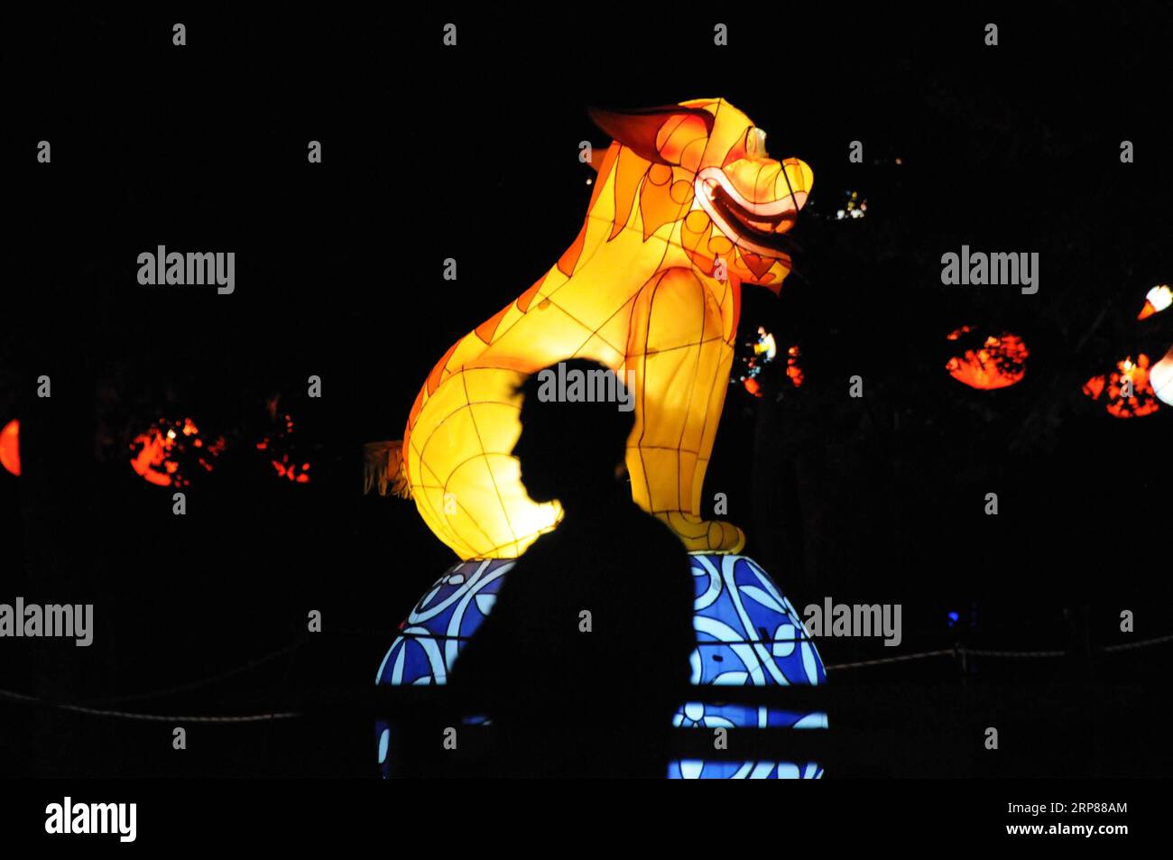 (190221) -- CHRISTCHURCH, 21 février 2019 (Xinhua) -- une photo prise le 21 février 2019 montre un spectacle de lanternes pour célébrer le festival des lanternes chinoises à Christchurch, Nouvelle-Zélande, le 21 février 2019. (Xinhua/Li Qiaoqiao) NOUVELLE-ZÉLANDE-CHRISTCHURCH-CHINESE LANTERN FESTIVAL PUBLICATIONxNOTxINxCHN Banque D'Images