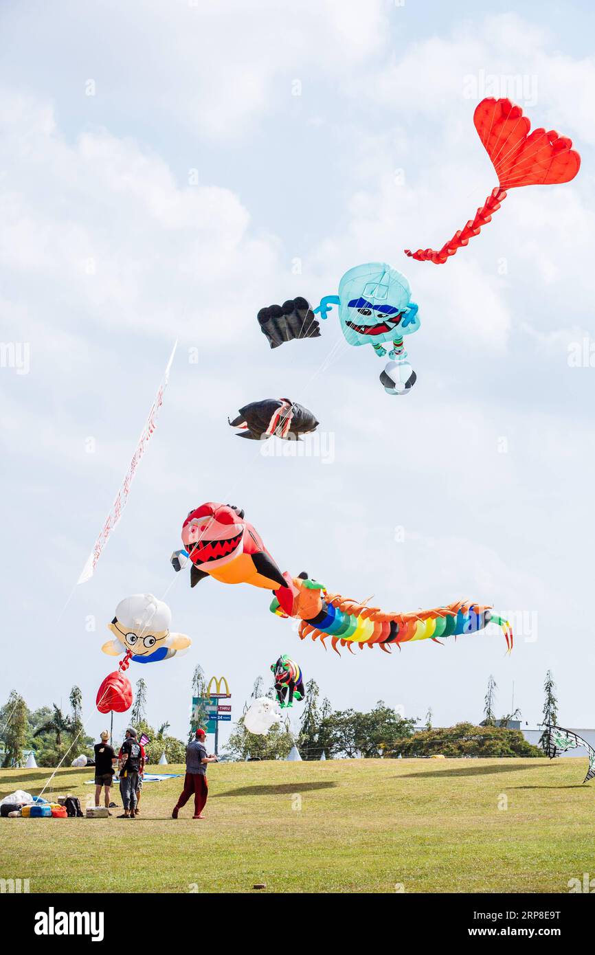 (190302) -- JOHOR BAHRU, le 2 mars 2019 -- divers cerfs-volent dans le ciel lors du 24e Festival mondial du cerf-volant de Pasir Gudang à Pasir Gudang, État de Johor, Malaisie, le 1 mars 2019. Des participants de plus de 40 pays et régions ont participé aux compétitions de cerf-volant et au spectacle pendant les cinq jours du festival. MALAISIE-PASIR GUDANG-KITE FESTIVAL ZhuxWei PUBLICATIONxNOTxINxCHN Banque D'Images