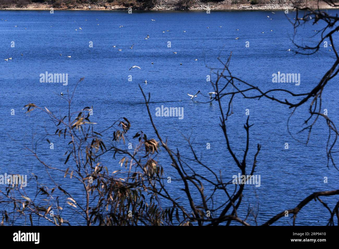 (190322) -- ATHÈNES, le 22 mars 2019 -- la photo prise le 20 mars 2019 montre une vue du lac Marathon dans la région de l'Attique orientale, en Grèce. Marathon Lake est l'un des principaux réservoirs d'approvisionnement en eau d'Athènes. Pour aller avec caractéristique : la qualité de l'eau du robinet de la Grèce reste excellente après huit ans de programme de sauvetage ) GRÈCE-ATHÈNES-JOURNÉE MONDIALE DE L'EAU-MARATHON LAC MariosxLolos PUBLICATIONxNOTxINxCHN Banque D'Images