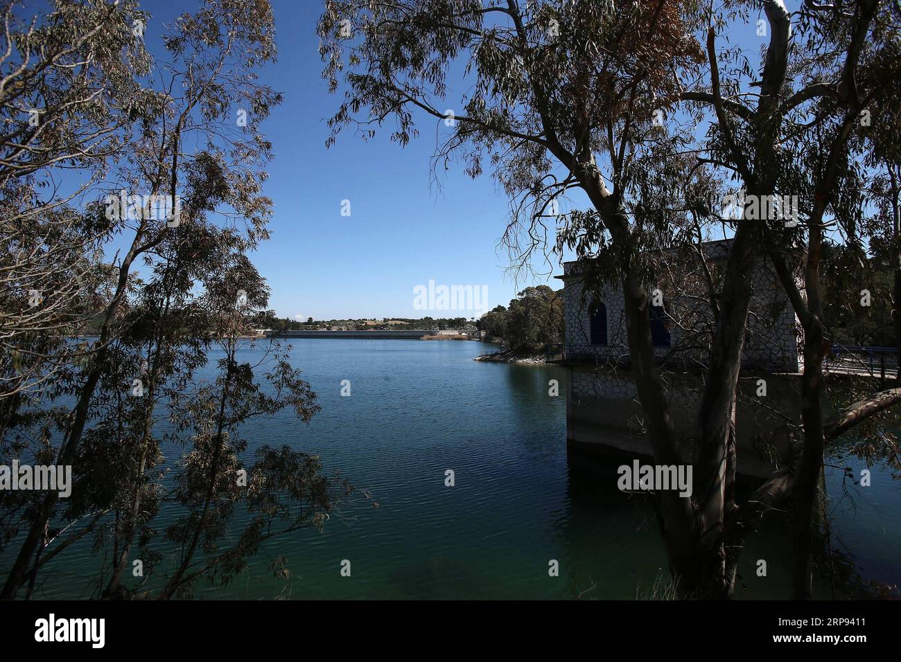 (190322) -- ATHÈNES, le 22 mars 2019 -- la photo prise le 20 mars 2019 montre une vue du lac Marathon dans la région de l'Attique orientale, en Grèce. Marathon Lake est l'un des principaux réservoirs d'approvisionnement en eau d'Athènes. Pour aller avec caractéristique : la qualité de l'eau du robinet de la Grèce reste excellente après huit ans de programme de sauvetage ) GRÈCE-ATHÈNES-JOURNÉE MONDIALE DE L'EAU-MARATHON LAC MariosxLolos PUBLICATIONxNOTxINxCHN Banque D'Images