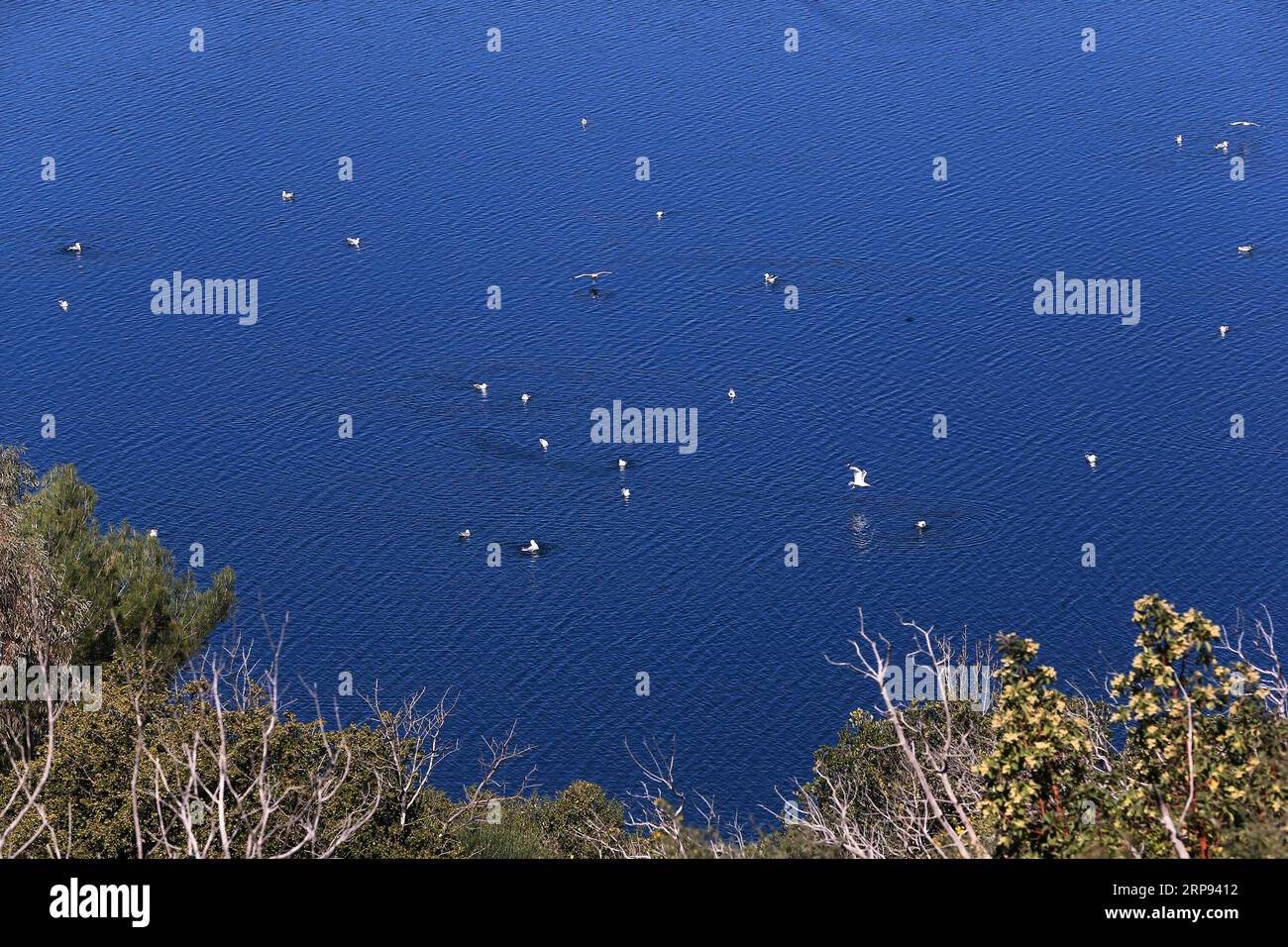 (190322) -- ATHÈNES, le 22 mars 2019 -- la photo prise le 20 mars 2019 montre une vue du lac Marathon dans la région de l'Attique orientale, en Grèce. Marathon Lake est l'un des principaux réservoirs d'approvisionnement en eau d'Athènes. Pour aller avec caractéristique : la qualité de l'eau du robinet de la Grèce reste excellente après huit ans de programme de sauvetage ) GRÈCE-ATHÈNES-JOURNÉE MONDIALE DE L'EAU-MARATHON LAC MariosxLolos PUBLICATIONxNOTxINxCHN Banque D'Images