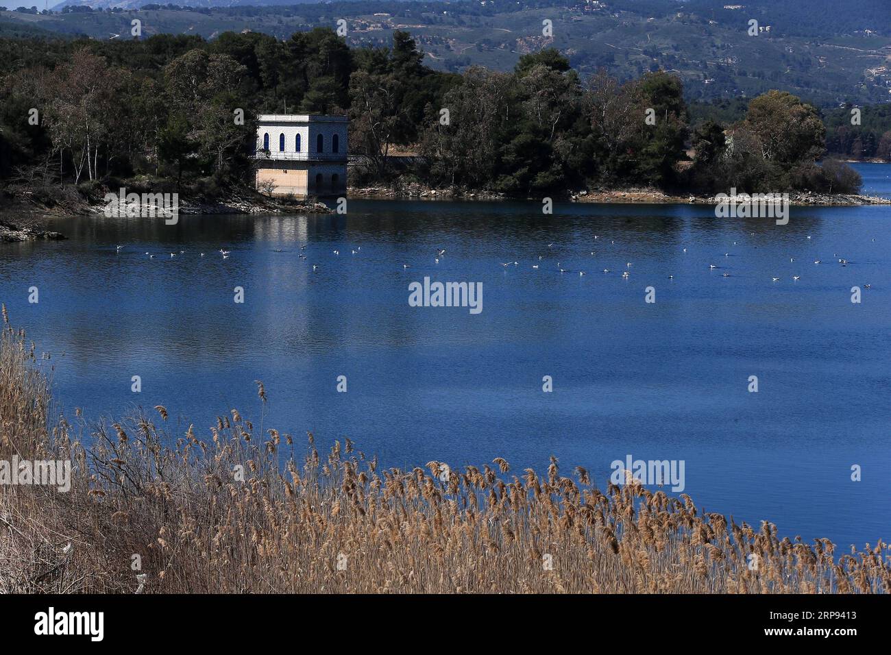(190322) -- ATHÈNES, le 22 mars 2019 -- la photo prise le 20 mars 2019 montre une vue du lac Marathon dans la région de l'Attique orientale, en Grèce. Marathon Lake est l'un des principaux réservoirs d'approvisionnement en eau d'Athènes. Pour aller avec caractéristique : la qualité de l'eau du robinet de la Grèce reste excellente après huit ans de programme de sauvetage ) GRÈCE-ATHÈNES-JOURNÉE MONDIALE DE L'EAU-MARATHON LAC MariosxLolos PUBLICATIONxNOTxINxCHN Banque D'Images