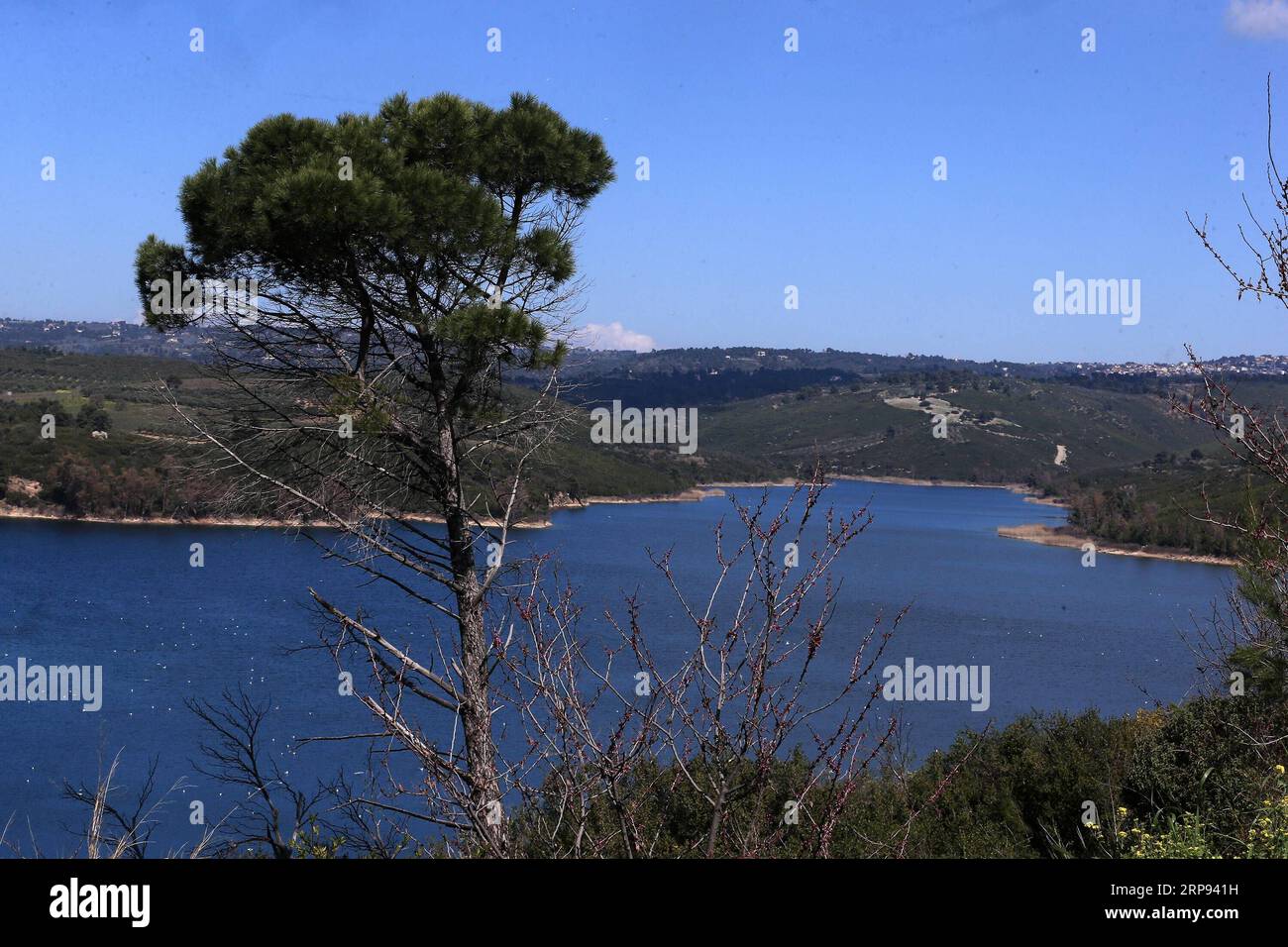 (190322) -- ATHÈNES, le 22 mars 2019 -- la photo prise le 20 mars 2019 montre une vue du lac Marathon dans la région de l'Attique orientale, en Grèce. Marathon Lake est l'un des principaux réservoirs d'approvisionnement en eau d'Athènes. Pour aller avec caractéristique : la qualité de l'eau du robinet de la Grèce reste excellente après huit ans de programme de sauvetage ) GRÈCE-ATHÈNES-JOURNÉE MONDIALE DE L'EAU-MARATHON LAC MariosxLolos PUBLICATIONxNOTxINxCHN Banque D'Images