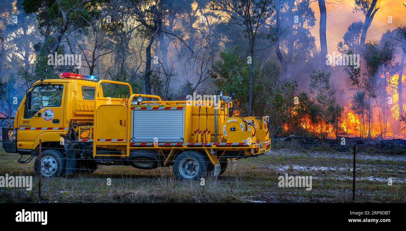 Appareil jaune Rural Fire Service avec flammes en arrière-plan gérant une brûlure contrôlée. Maryborough Queensland Australie Banque D'Images