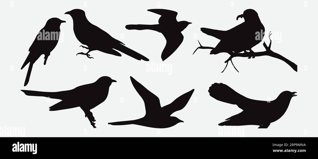 Élégance en mouvement, ensemble exquis Silhouette Cuckoo Bird - illustrations vectorielles Illustration de Vecteur