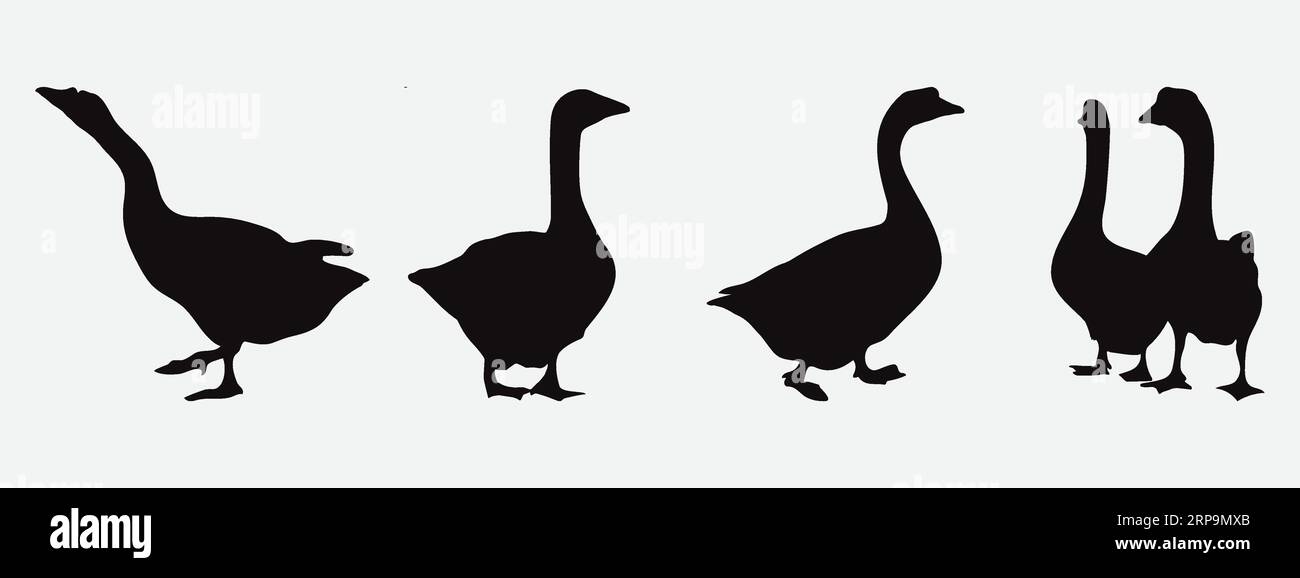 Gracieuse Goose silhouettes, Un superbe ensemble d'oiseaux aquatiques élégants dans diverses poses et ambiances Illustration de Vecteur