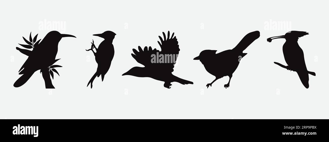 Collection exquise de silhouettes de pic de bois détaillées percussionnistes de la nature dans les formes artistiques Illustration de Vecteur