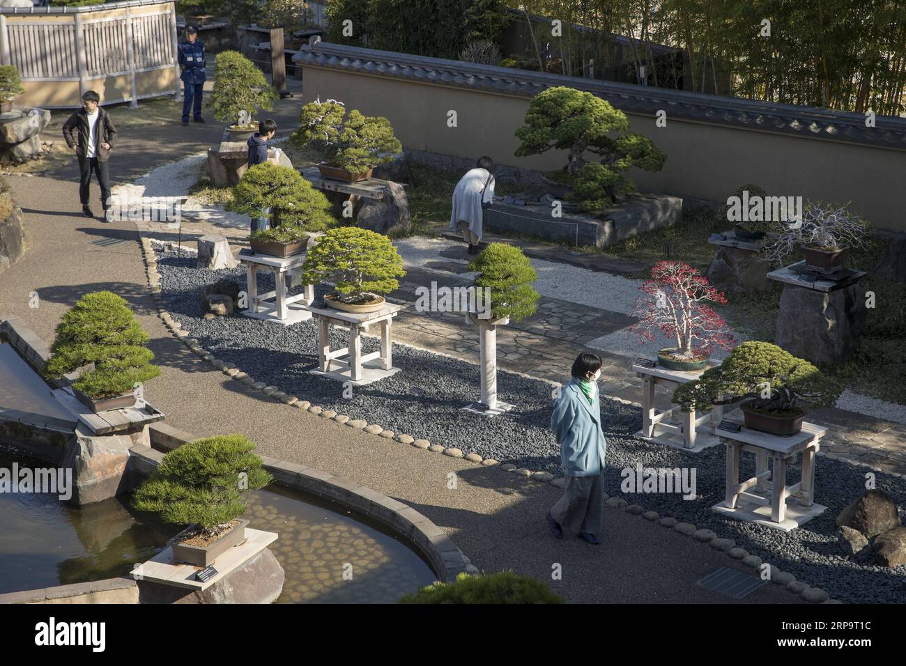 (190416) -- SAITAMA, 16 avril 2019 (Xinhua) -- visite du musée d'art Omiya Bonsai à Saitama, Japon, le 13 avril 2019. Le musée d'art Omiya Bonsai a ouvert ses portes au public en 2010, exposant plus de 100 chefs-d'œuvre. (Xinhua/du Xiaoyi) JAPAN-SAITAMA-BONSAI ART MUSEUM PUBLICATIONxNOTxINxCHN Banque D'Images