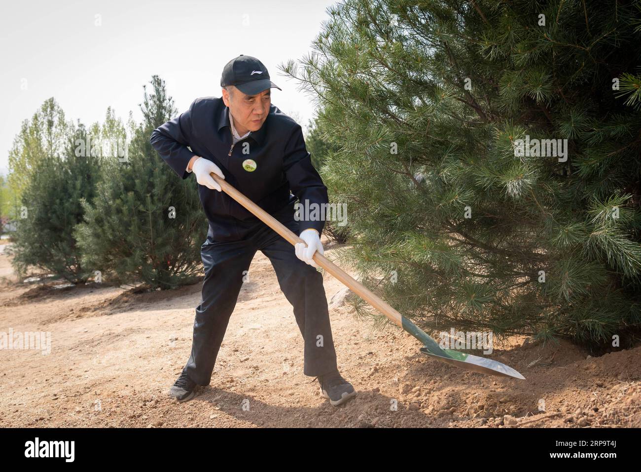 (190416) -- BEIJING, le 16 avril 2019 -- Gu Shengzu, vice-président du Comité national de la Conférence consultative politique du peuple chinois (CCPPC), participe à un événement de plantation d'arbres dans le parc forestier national de Xishan, dans le district de Haidian à Beijing, capitale de la Chine, le 16 avril 2019. Vice-présidents du Comité national de la CPPCC, Liu Qibao, lu Zhangong, Xia Baolong, Yang Chuantang, Zheng Jianbang, Gu Shengzu, He Wei, Shao Hong et Gao Yunlong ont participé mardi à la plantation d’arbres à Pékin. Ils ont été rejoints par près de 300 membres du personnel des organes de travail de la Banque D'Images