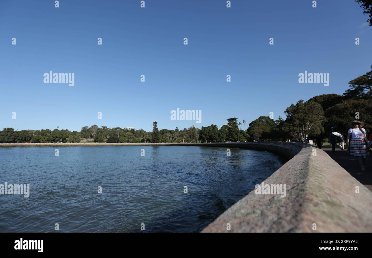 (190419) -- SYDNEY, le 19 avril 2019 -- visite du jardin botanique royal de Sydney, Australie, le 19 avril 2019. Royal Botanic Garden est situé près du coeur de Sydney, offrant une belle vue sur le port de Sydney, l'Opéra de Sydney et Sydney Harbour Bridge.) AUSTRALIE-SYDNEY-JARDIN BOTANIQUE ROYAL BaixXuefei PUBLICATIONxNOTxINxCHN Banque D'Images