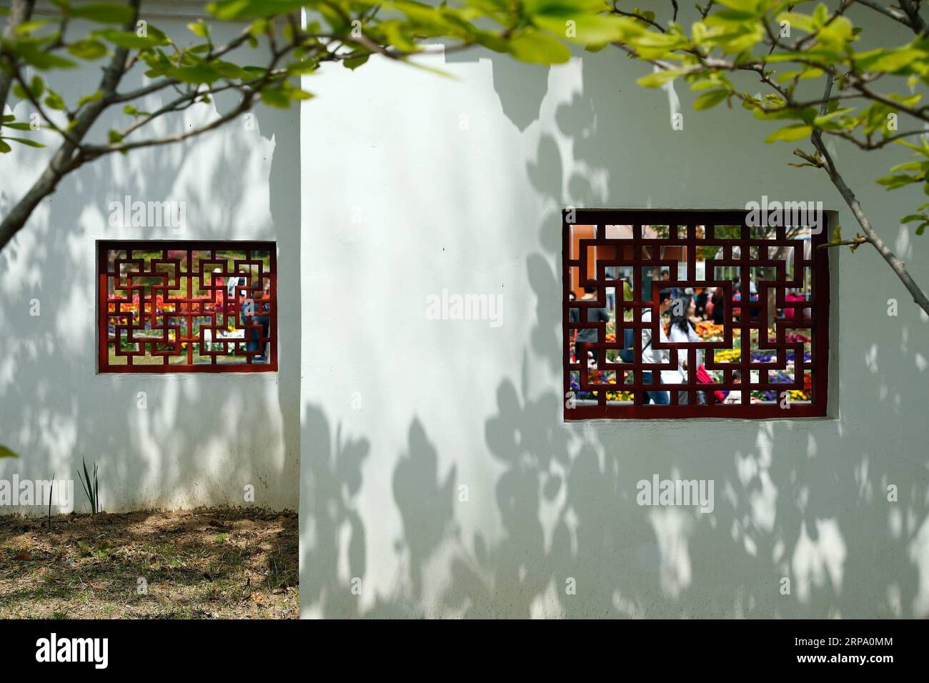 (190421) -- SUNCHEON, 21 avril 2019 (Xinhua) -- une photo prise le 20 avril 2019 montre une vue du jardin chinois du jardin national de Suncheon Bay à Suncheon, en Corée du Sud. Le jardin national de Suncheon Bay, situé dans la ville de Suncheon, au sud de la Corée du Sud, accueille Suncheon Bay Garden Expo 2013. (Xinhua/Wang Jingqiang) Suncheon *** 190421 SUNCHEON avril 21 2019 Xinhua photo prise le 20 2019 avril montre une vue du jardin chinois du jardin national de Suncheon Bay à Suncheon Corée du Sud le jardin national de Suncheon Bay situé dans la ville sud de la Corée du Sud de Suncheon est le ho Banque D'Images
