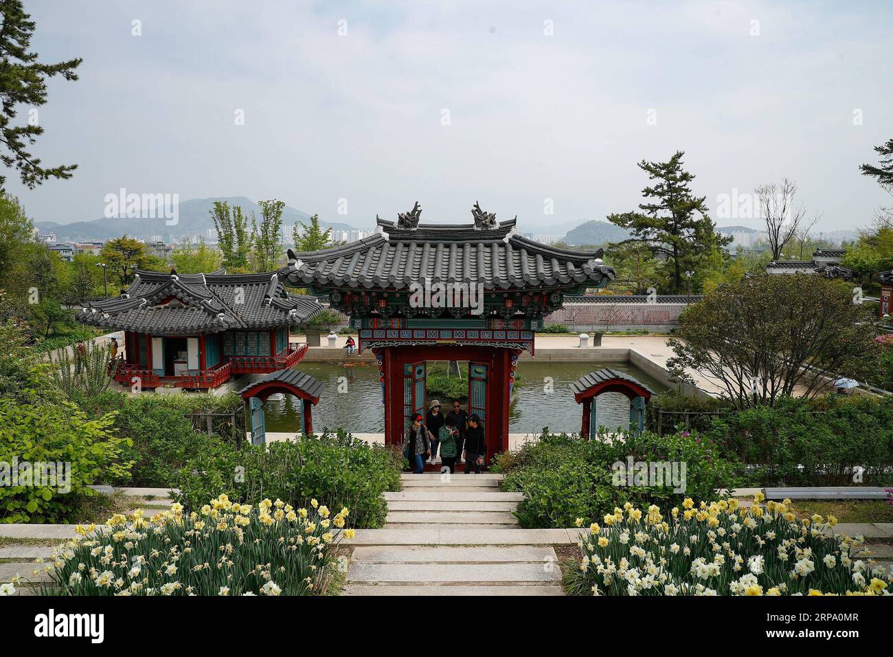 (190421) -- SUNCHEON, 21 avril 2019 (Xinhua) -- visite du jardin coréen au jardin national de Suncheon Bay à Suncheon, en Corée du Sud, le 20 avril 2019. Le jardin national de Suncheon Bay, situé dans la ville de Suncheon, au sud de la Corée du Sud, accueille Suncheon Bay Garden Expo 2013. (Xinhua/Wang Jingqiang) Suncheon *** 190421 SUNCHEON avril 21 2019 les Xinhua visitent le jardin coréen au jardin national de Suncheon Bay à Suncheon Corée du Sud avril 20 2019 le jardin national de Suncheon Bay situé dans la ville sud de la Corée du Sud de Suncheon accueille Suncheon Bay G. Banque D'Images