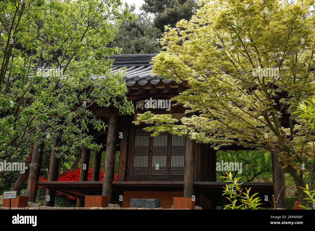 (190421) -- SUNCHEON, 21 avril 2019 (Xinhua) -- une photo prise le 20 avril 2019 montre une vue du jardin coréen du jardin national de Suncheon Bay à Suncheon, en Corée du Sud. Le jardin national de Suncheon Bay, situé dans la ville de Suncheon, au sud de la Corée du Sud, accueille Suncheon Bay Garden Expo 2013. (Xinhua/Wang Jingqiang) Suncheon *** 190421 SUNCHEON avril 21 2019 Xinhua photo prise le 20 2019 avril montre une vue du jardin coréen du jardin national de Suncheon Bay à Suncheon Corée du Sud le jardin national de Suncheon Bay situé dans la ville sud de la Corée du Sud de Suncheon est l'hôte Banque D'Images