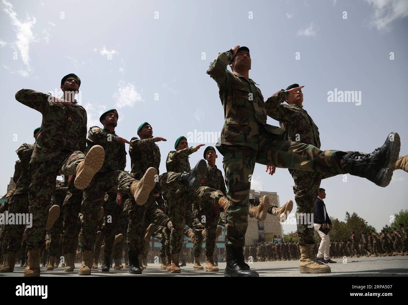 (190425) -- KABOUL, le 25 avril 2019 -- des cadets de l'armée afghane participent à une cérémonie de remise des diplômes à Kaboul, capitale de l'Afghanistan, le 25 avril 2019. Jusqu'à 1 550 officiers militaires, dont 11 cadets féminins, ont obtenu leur diplôme du Centre de formation militaire de Kaboul (KMTC), a déclaré jeudi un responsable. AFGHANISTAN-KABOUL-CÉRÉMONIE DE REMISE DES DIPLÔMES- ARMÉE RahmatxAlizadah PUBLICATIONxNOTxINxCHN Banque D'Images