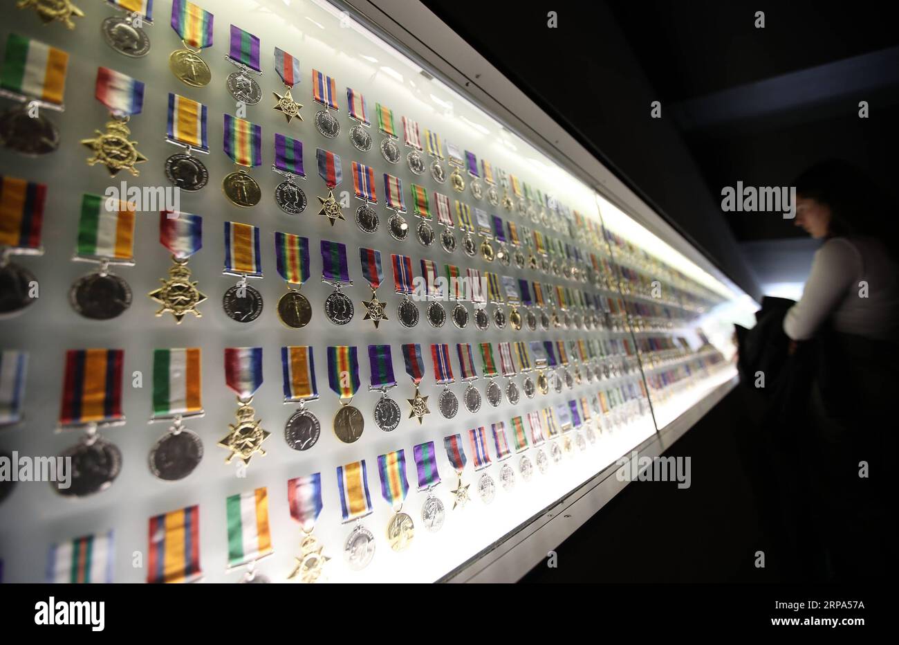 (190425) -- MELBOURNE, le 25 avril 2019 -- Une femme voit des badges au sanctuaire du souvenir à Melbourne, en Australie, le 25 avril 2019. Célébrée le 25 avril de chaque année, la Journée de l ANZAC est la journée nationale de commémoration de l Australie et de la Nouvelle-Zélande pour le personnel qui a servi et qui est mort dans les guerres, les conflits et les opérations de maintien de la paix. AUSTRALIA-MELBOURNE-ANZAC DAY BaixXuefei PUBLICATIONxNOTxINxCHN Banque D'Images