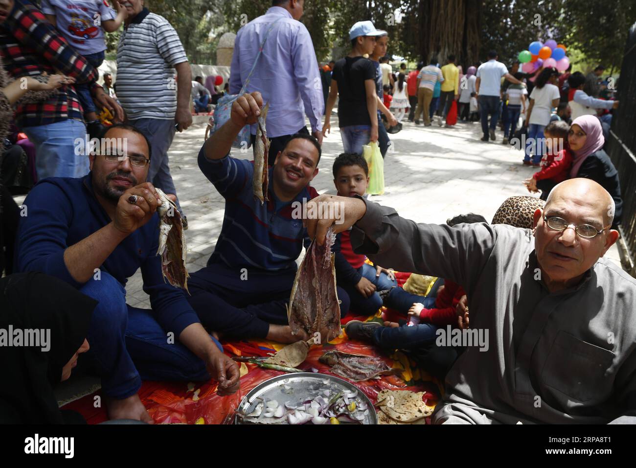 (190429) -- LE CAIRE, le 29 avril 2019 -- les gens pique-niquent pendant le Sham el-Nessim, une fête traditionnelle égyptienne marquant le début du printemps au Caire, en Égypte, le 29 avril 2019. Les Égyptiens ont célébré lundi Sham el-Nessim, une fête égyptienne traditionnelle marquant le début du printemps. EGYPT-CAIRO-SHAM EL-NESSIM AhmedxGomaa PUBLICATIONxNOTxINxCHN Banque D'Images