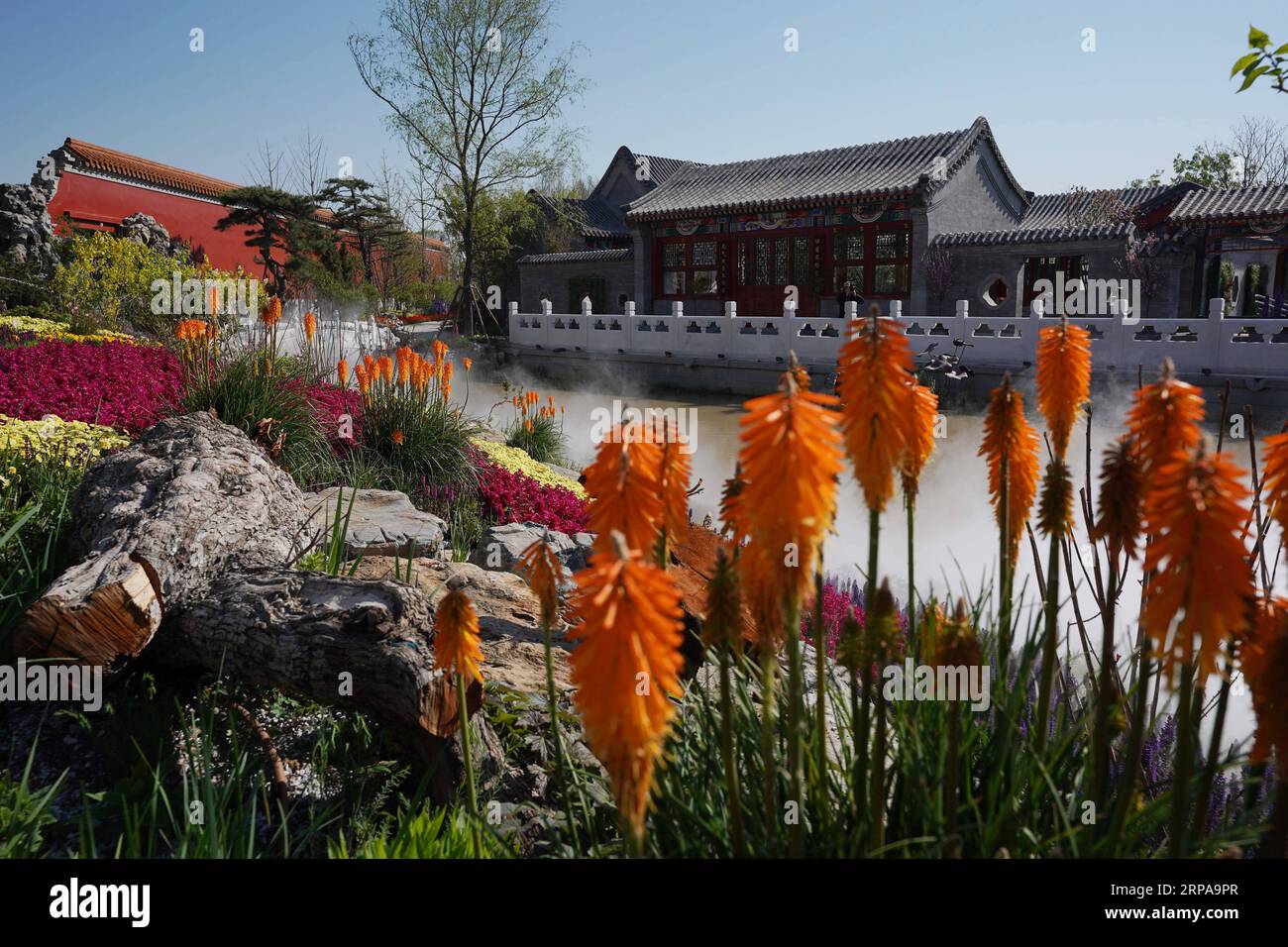 (190501) -- BEIJING, 1 mai 2019 (Xinhua) -- Photo prise le 1 mai 2019, montre le jardin de Pékin à l'Exposition Internationale d'Horticulture 2019 à Beijing Yanqing District de Pékin, capitale de la Chine. L'Exposition Internationale d'Horticulture 2019 Beijing, la plus grande expo de ce genre dans le monde, ouvert au public du lundi dans le district de Yanqing. Yanqing offre lui-même comme être à la maison à certaines parties de la Grande Muraille. C'est une station estivale et la base agricole de Beijing. La mise à niveau des infrastructures et l'accélération de l'industrie horticole à cause de l'expo d'autres stimula Banque D'Images