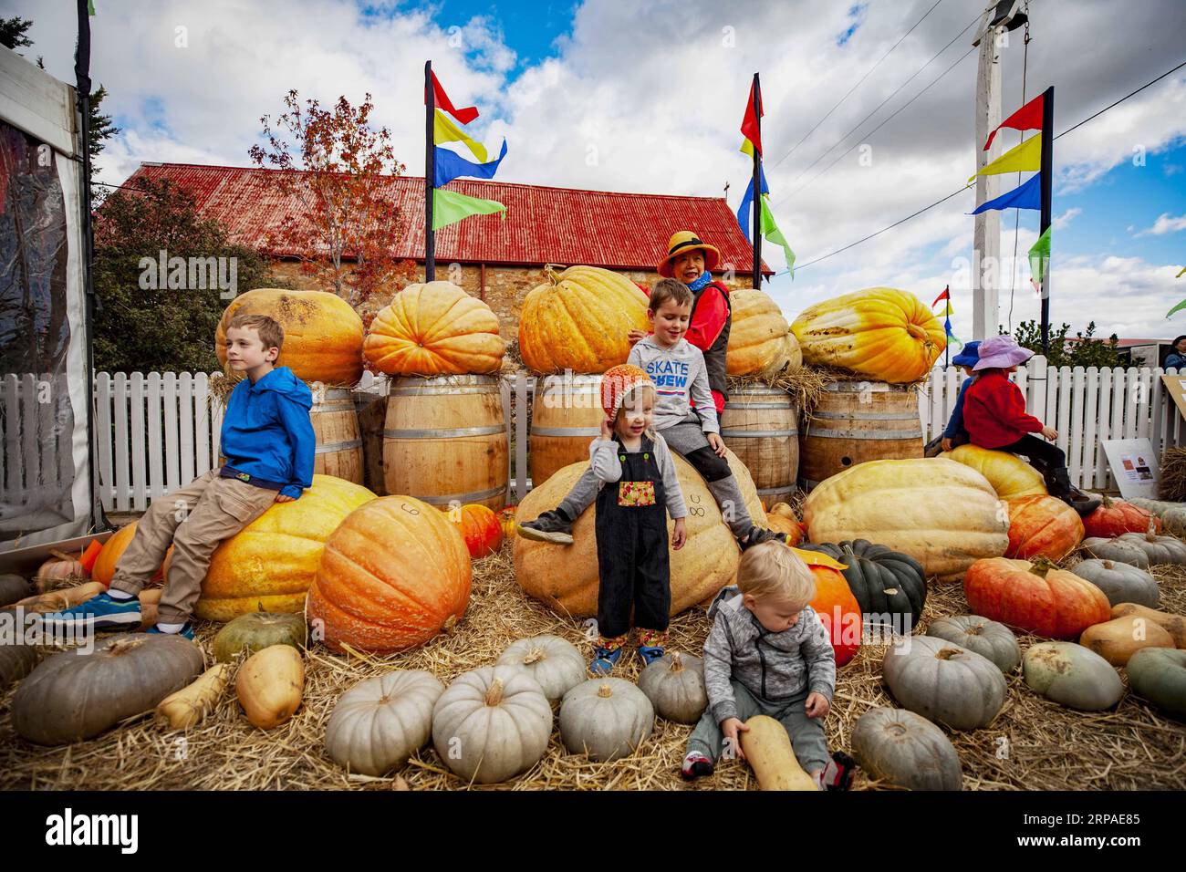 (190506) -- COLLECTOR, 6 mai 2019 (Xinhua) -- des enfants jouent avec des citrouilles au Festival de citrouilles à Collector, à une demi-heure de route de la capitale australienne Canberra, le 5 mai 2019. Le Collector Village Pumpkin Festival, qui tombe le premier dimanche de mai, en est à sa 16e année. Le Village Collector, qui était normalement tranquille, a été transformé en parc d’attractions dimanche, attirant les visiteurs des grandes villes pour ralentir et profiter de la vie idyllique. (Xinhua/Pan Xiangyue) AUSTRALIA-COLLECTOR-CITROUILLE FESTIVAL PUBLICATIONxNOTxINxCHN Banque D'Images