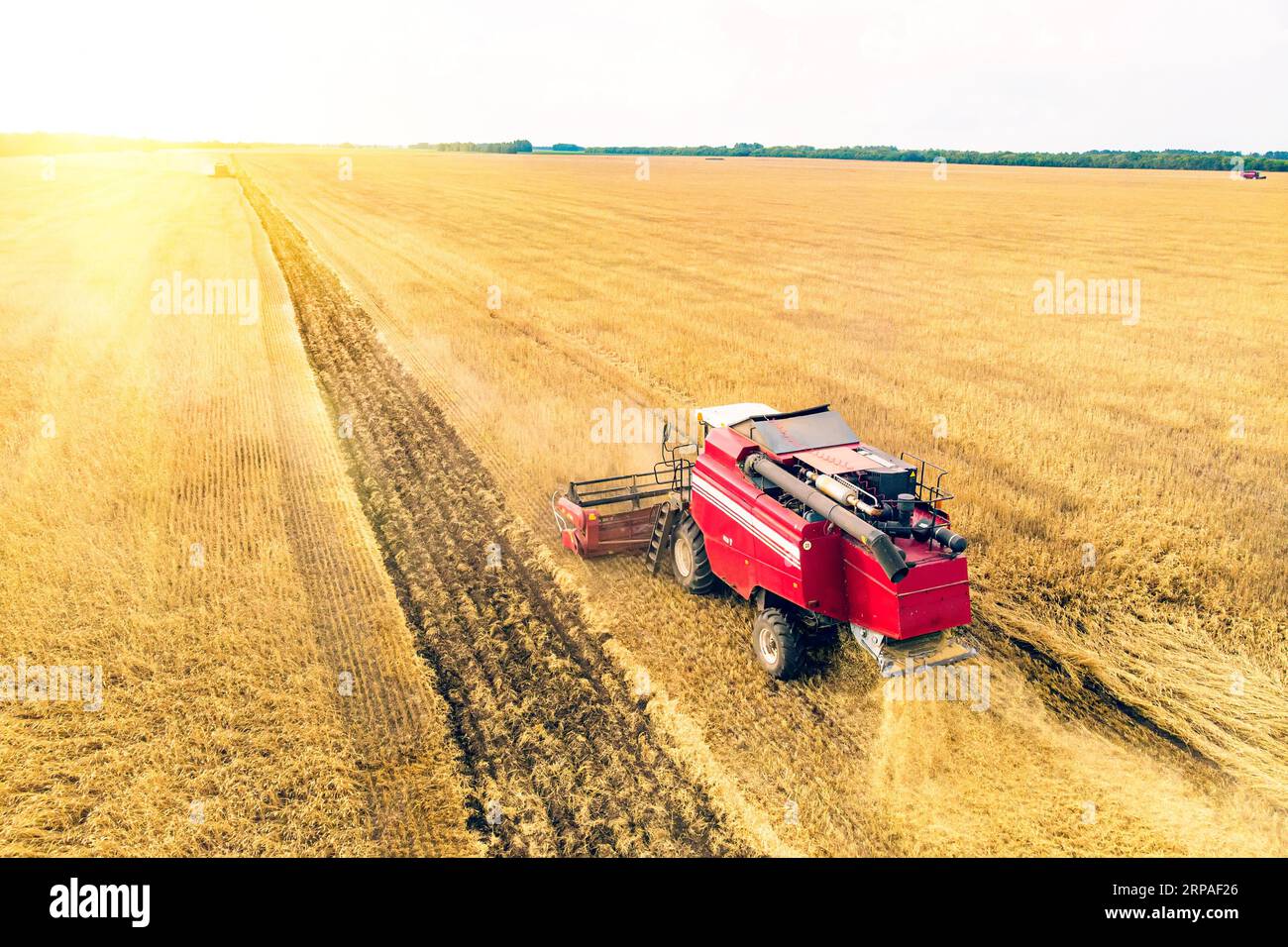 Vue aérienne sur la moissonneuse-batteuse travaille sur le grand champ de blé. La fenaison et de la récolte au début de l'automne sur le terrain. Tracteur tond l'herbe sèche. Preparatio Banque D'Images