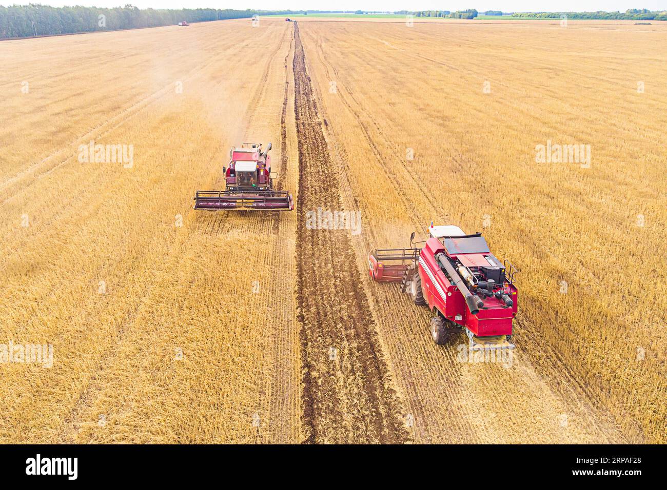 Vue aérienne sur la moissonneuse-batteuse travaille sur le grand champ de blé. La fenaison et de la récolte au début de l'automne sur le terrain. Tracteur tond l'herbe sèche. Preparatio Banque D'Images