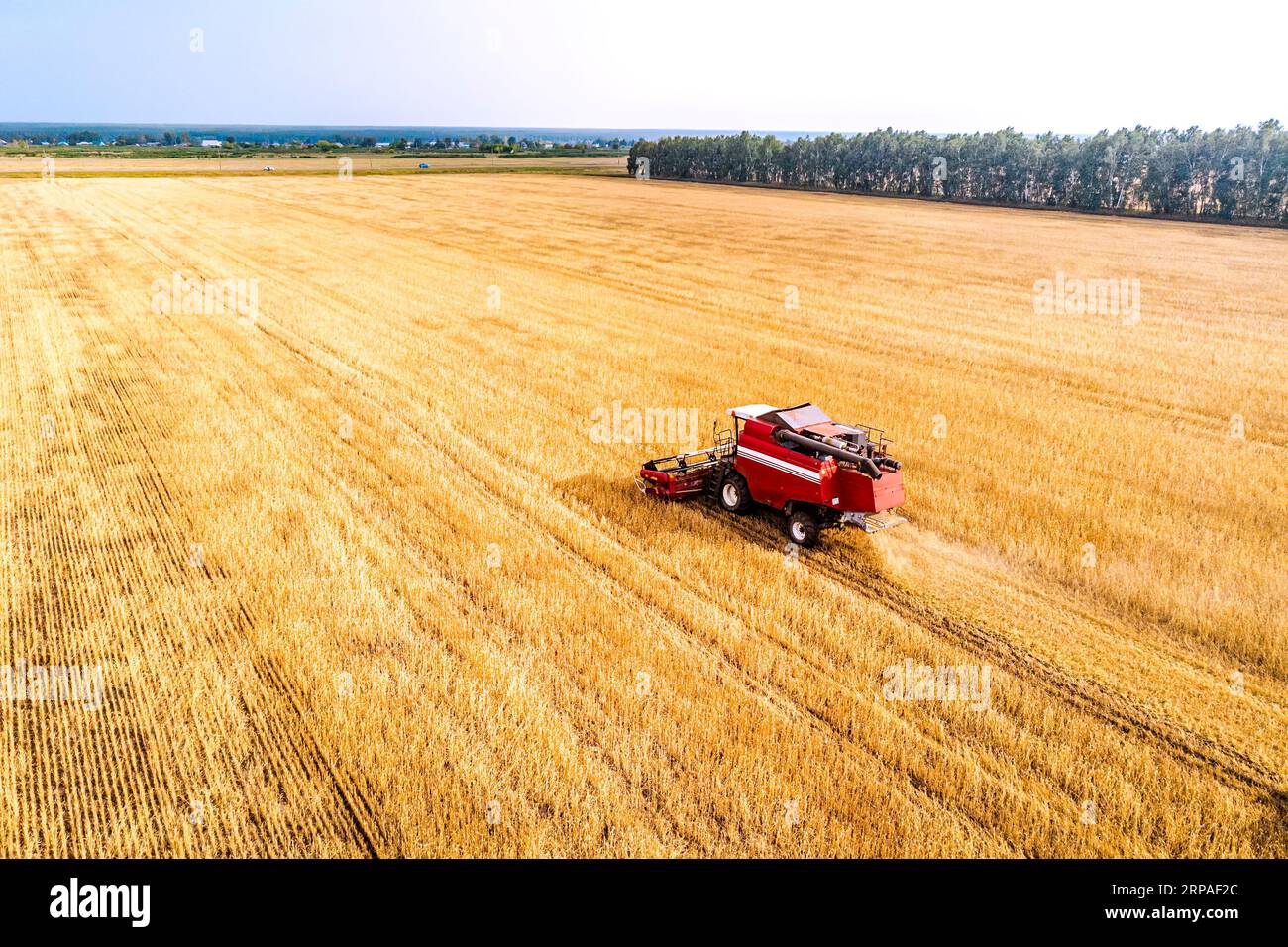 Vue aérienne de drone harvest field avec le tracteur tond l'herbe sèche. Champ jaune d'automne avec une botte après la récolte vue d'en haut. La récolte dans les champs. Banque D'Images