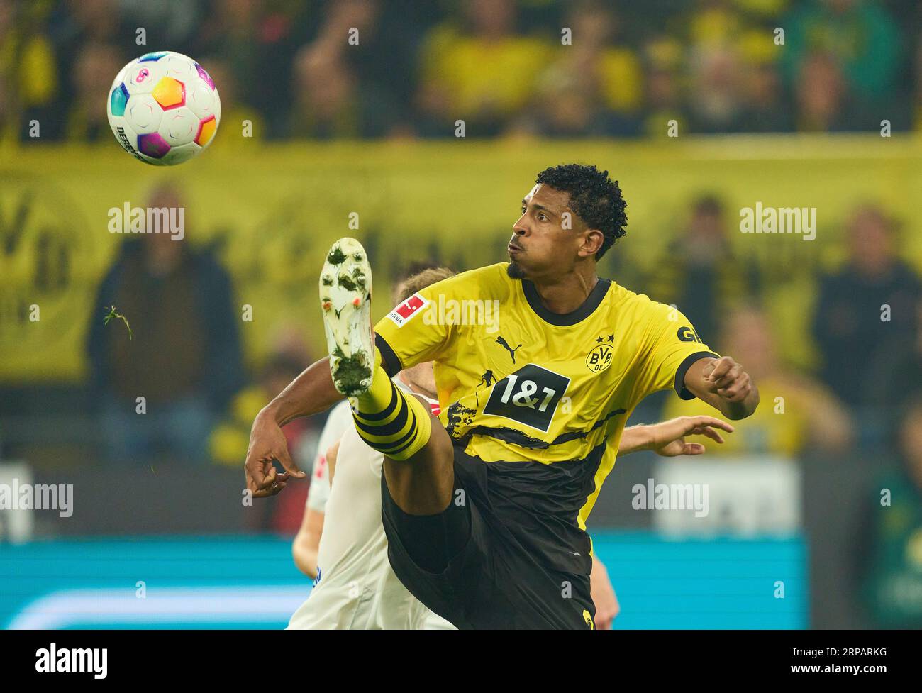 Sebastien Haller, BVB 9 dans le match BORUSSIA DORMUND - 1. FC HEIDENHEIM 2-2 le 1 septembre 2023 à Dortmund, Allemagne. Saison 2023/2024, 1.Bundesliga, BVB, Matchday 3, 3.Spieltag © Peter Schatz / Alamy Live News - LA RÉGLEMENTATION DFL INTERDIT TOUTE UTILISATION DE PHOTOGRAPHIES comme SÉQUENCES D'IMAGES et/ou QUASI-VIDÉO - Banque D'Images