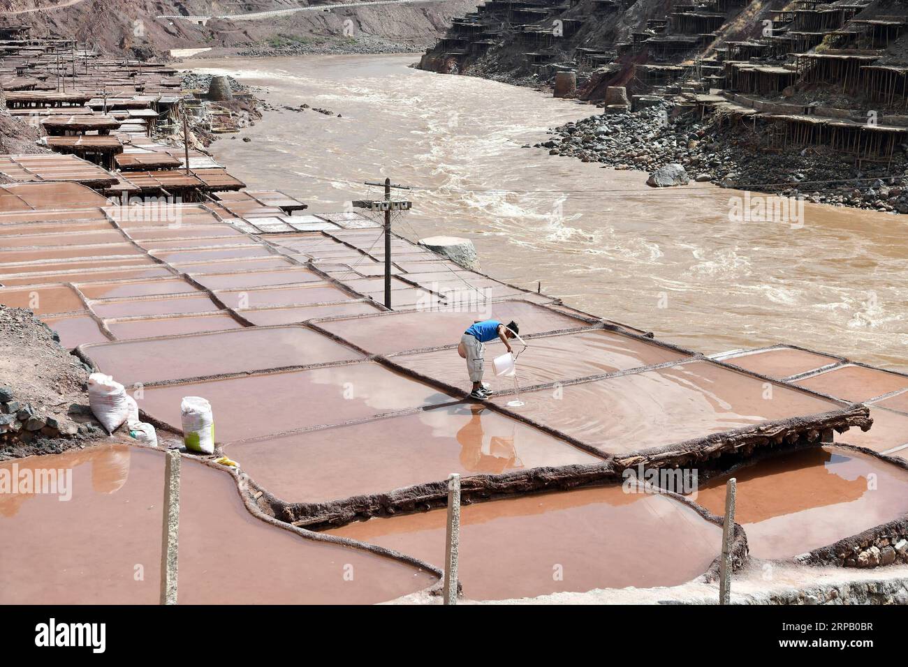 (190523) -- LHASSA, 23 mai 2019 (Xinhua) -- Un villageois verse de la saumure dans des champs salins du comté de Mangkam, région autonome du Tibet du sud-ouest de la Chine, 22 mai 2019. Une ancienne technique de production de sel depuis la dynastie Tang (618-907) est bien conservée dans le comté de Mangkam. Les populations locales suivent une méthode de récolte du sel en recueillant les saumures des mines de sel et des étangs et en les évaporant au soleil jusqu'à cristallisation. (Xinhua/Li Xin) CHINE-TIBET-MANGKAM-PRODUCTION DE SEL (CN) PUBLICATIONxNOTxINxCHN Banque D'Images