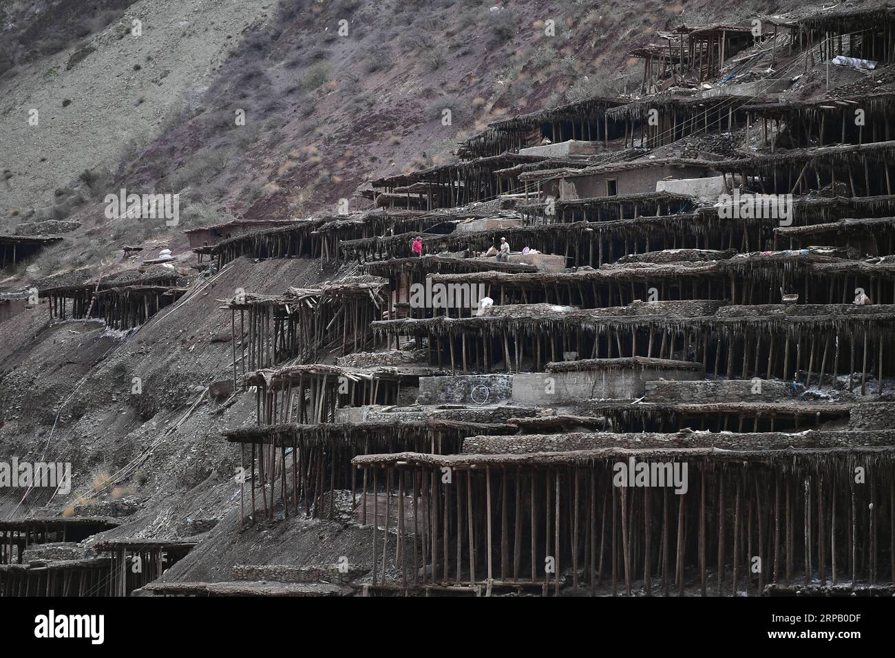 (190523) -- LHASSA, 23 mai 2019 (Xinhua) -- des villageois travaillent dans des champs salins dans le comté de Mangkam, dans la région autonome du Tibet du sud-ouest de la Chine, 22 mai 2019. Une ancienne technique de production de sel depuis la dynastie Tang (618-907) est bien conservée dans le comté de Mangkam. Les populations locales suivent une méthode de récolte du sel en recueillant les saumures des mines de sel et des étangs et en les évaporant au soleil jusqu'à cristallisation. (Xinhua/Li Xin) CHINE-TIBET-MANGKAM-PRODUCTION DE SEL (CN) PUBLICATIONxNOTxINxCHN Banque D'Images