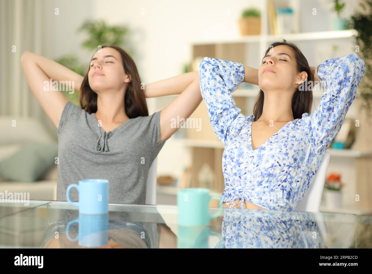 Deux colocataires se relaxant et reposant assis sur des chaises à la maison Banque D'Images