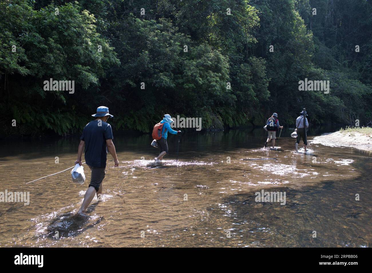 (190603) -- TAMANTHI, le 3 juin 2019 (Xinhua) -- les chercheurs à pied sur leur façon de recueillir des échantillons de plantes dans le Sanctuaire de faune de Tamanthi en Amérique du Myanmar, le 28 mai 2019. Un champ commun China-Myanmar expédition a pris avec des chercheurs de l'Institut de recherche sur la biodiversité en Asie du Sud-Est, l'Académie Chinoise des Sciences (CAS-SEABRI) et les ressources naturelles et la conservation de l'environnement du Myanmar, est en train de faire des recherches sur la biodiversité du Sanctuaire de faune de Tamanthi en Amérique du Myanmar. L'expédition, la huitième du genre depuis 2014, a commencé le 14 mai et durera jusqu'au 15 juin. (Xinhua/Jin Li Banque D'Images