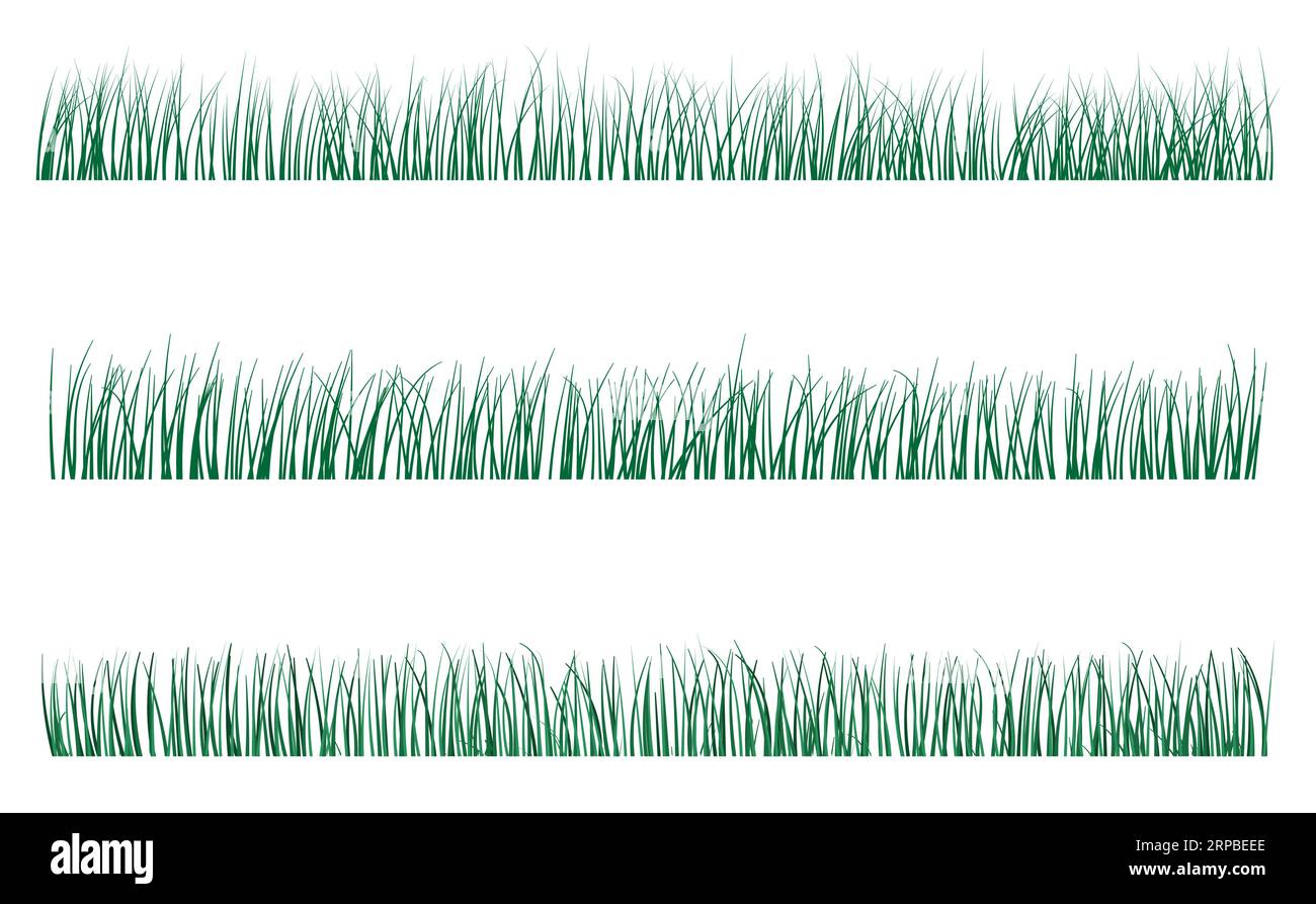 Herbe verte poussant des feuilles étroites Illustration de Vecteur