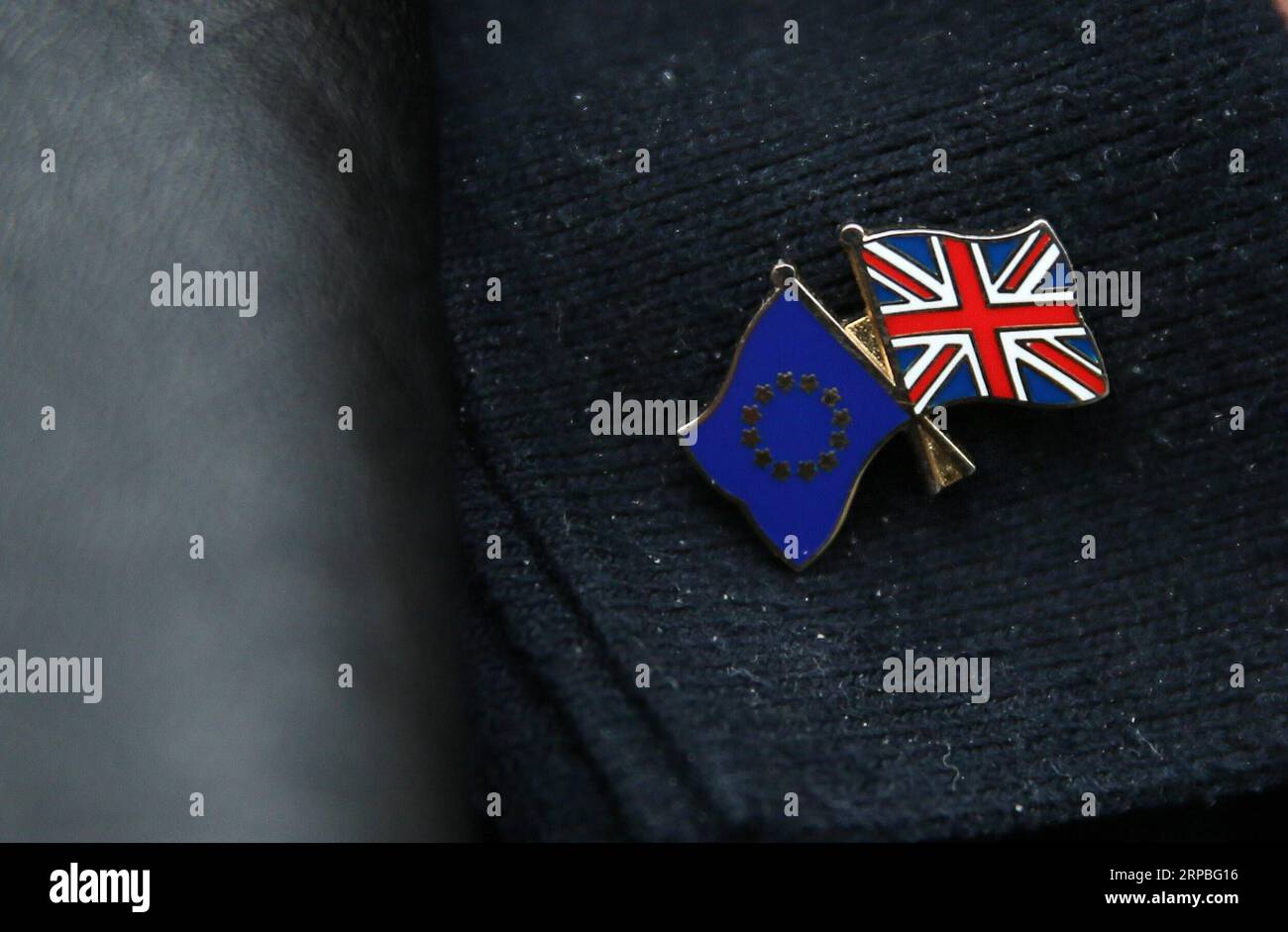 (190608) -- PÉKIN, 8 juin 2019 -- une photo prise le 29 mars 2017 montre un badge avec des drapeaux du Royaume-Uni et de l'UE portés par un manifestant à Londres, en Grande-Bretagne. Xinhua Headlines : la course pour le numéro 10 débute alors que mai termine son règne de trois ans en tant que leader conservateur avec une sortie discrète TimxIreland PUBLICATIONxNOTxINxCHN Banque D'Images