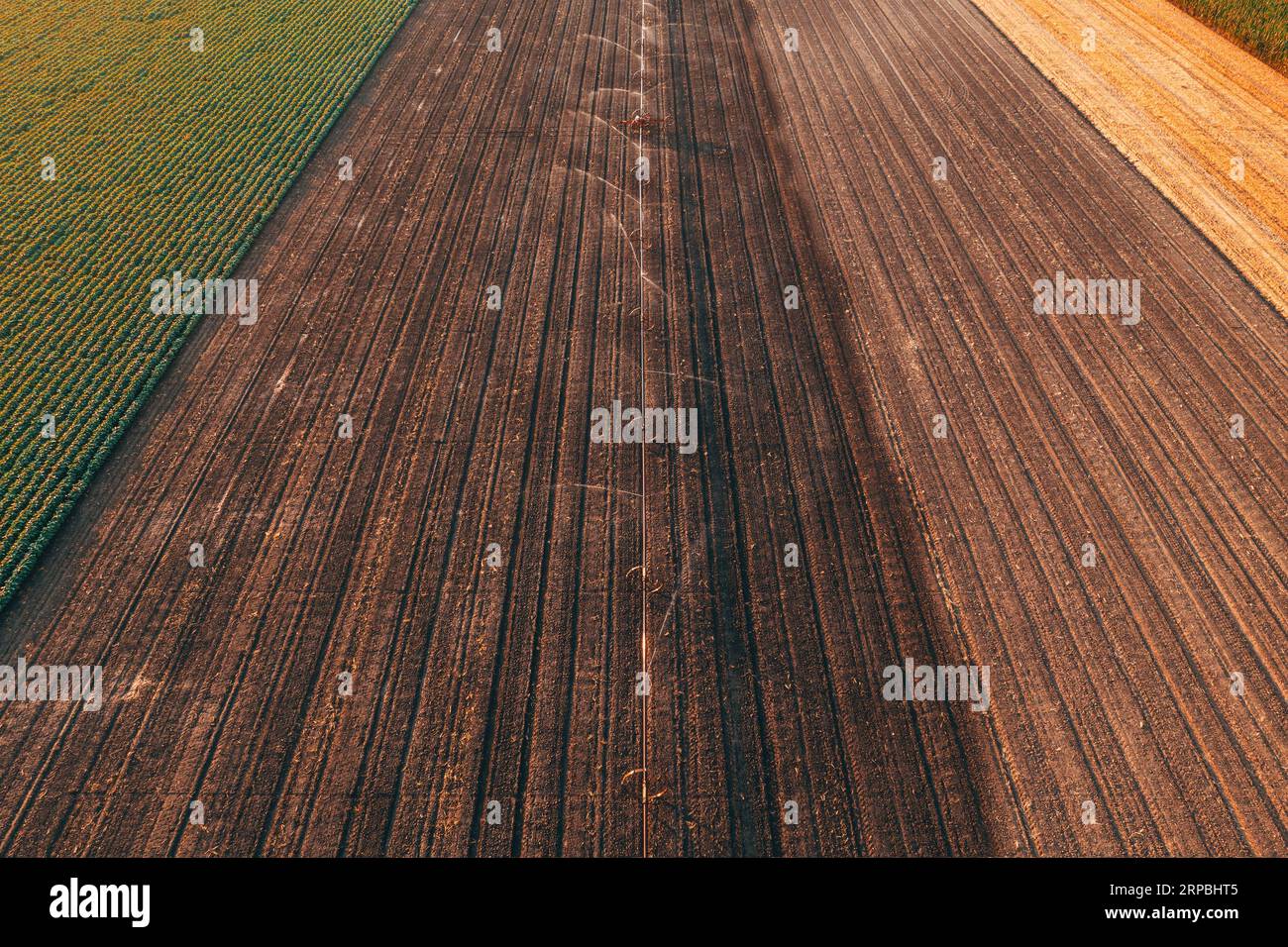 Arroseurs agricoles d'irrigation de roue en champ cultivé, prise de vue aérienne du drone pov, vue à grand angle Banque D'Images