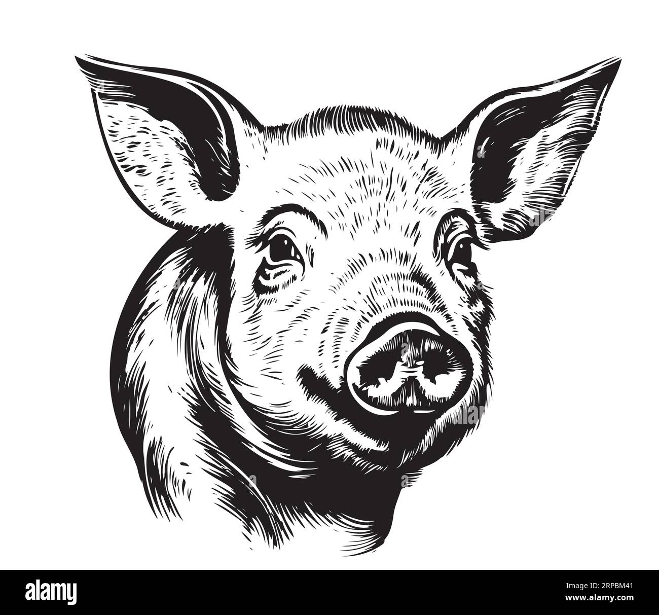 Logo visage de porc croquis dessiné à la main Vector Farm Animals Illustration de Vecteur