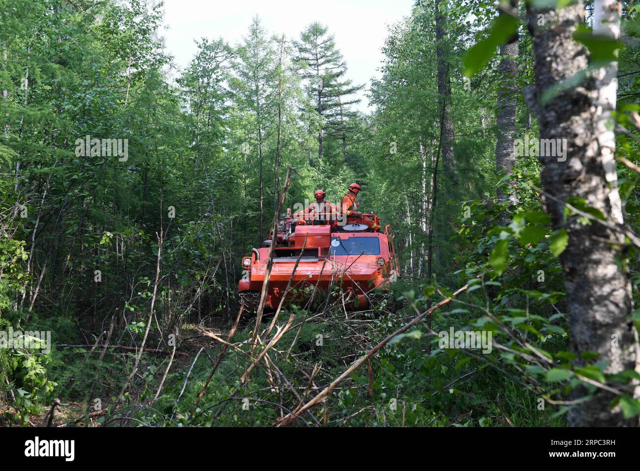 (190622) -- GENHE, 22 juin 2019 (Xinhua) -- les pompiers transportent des fournitures pour leurs collègues sur un site d'incendie à la ferme forestière de Xiushan, dans les montagnes du Grand Hinggan, dans la région autonome de Mongolie intérieure du nord de la Chine, 22 juin 2019. Un incendie de forêt qui a fait rage pendant trois jours dans la région autonome de Mongolie intérieure du nord de la Chine a été maîtrisé, ont déclaré samedi les autorités locales. L’opération de nettoyage est en cours à Xiushan, selon le quartier général des pompiers. Après un énorme effort de plus de 5 000 pompiers, le feu a été maîtrisé sur tous les fronts à 4:40 h samedi. (Xinhua/Liu Lei) Banque D'Images
