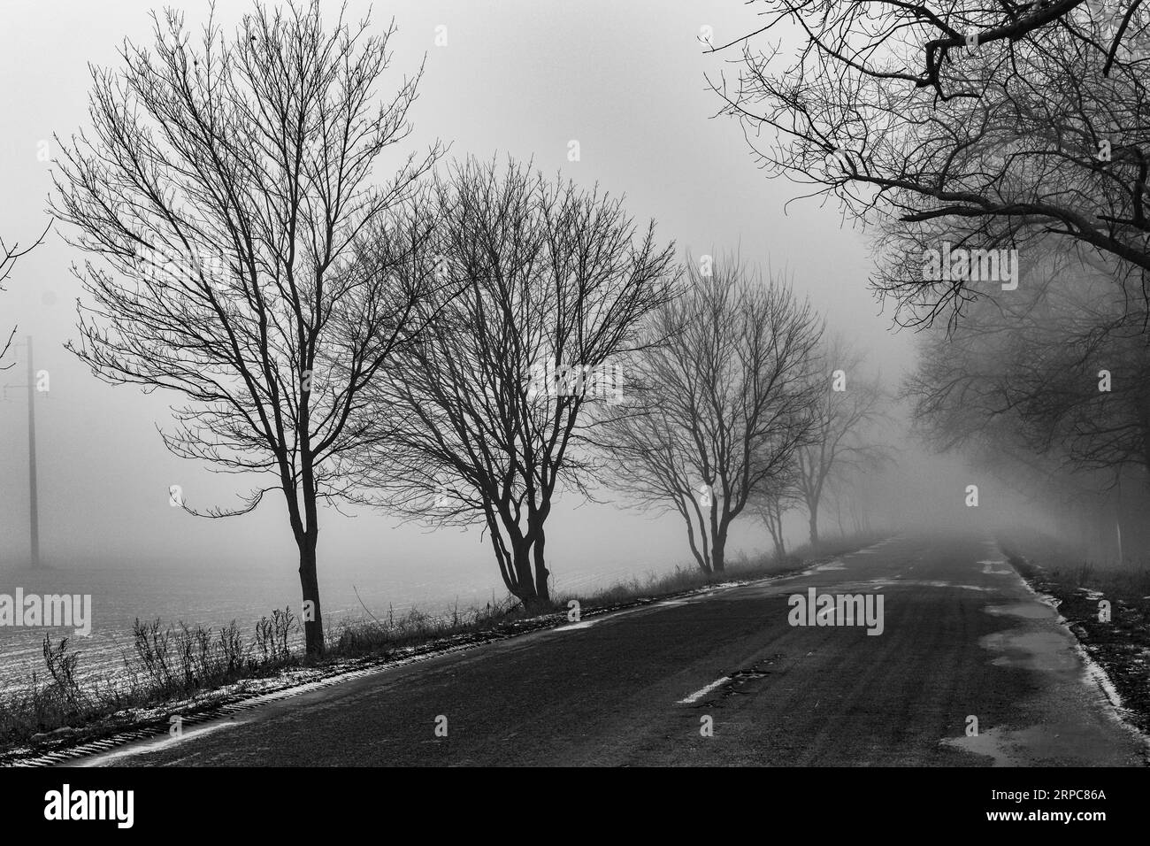 Une vue de la piste à travers les arbres dans le brouillard comme la neige mel. Banque D'Images