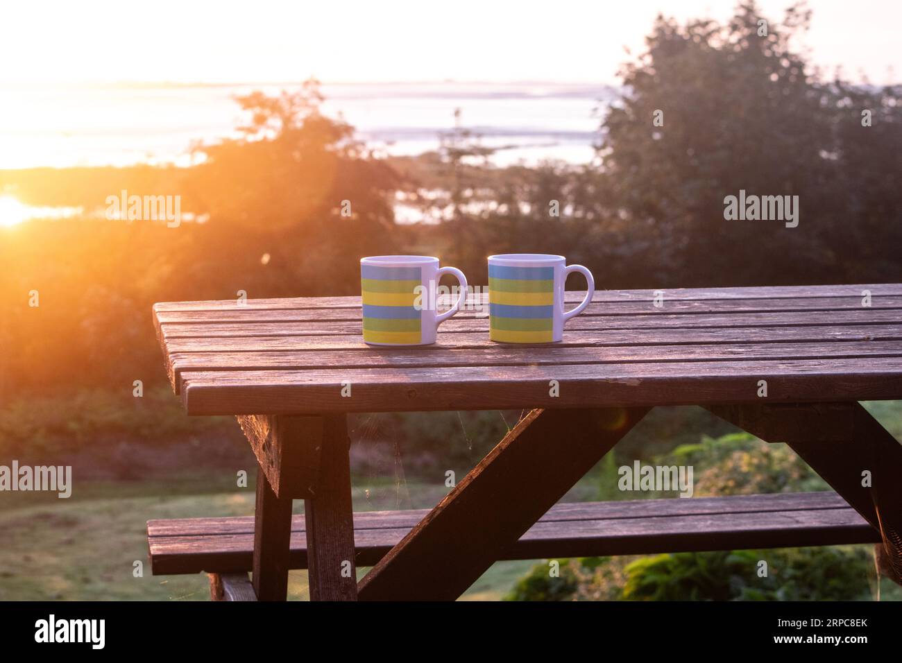 Deux tasses à café en plastique sur une table de pique-nique dans un camping au lever du soleil Banque D'Images
