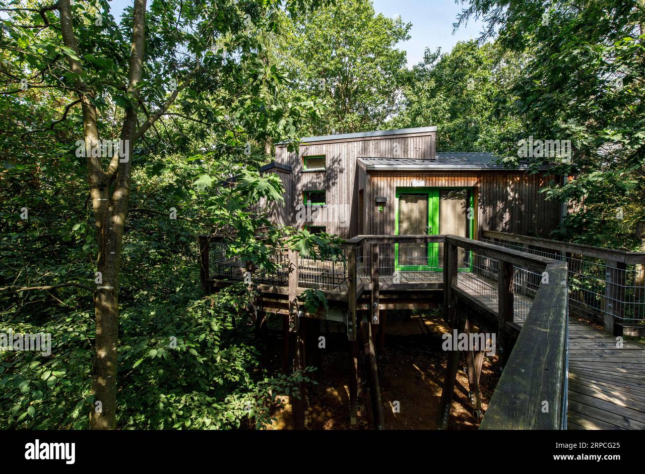 Maisons dans les arbres dans le Panarbora nature Adventure Park à Waldbroel, Bergisches Land, Rhénanie du Nord-Westphalie, Allemagne. Baumhaeuser Naturerlebnispark Panar Banque D'Images