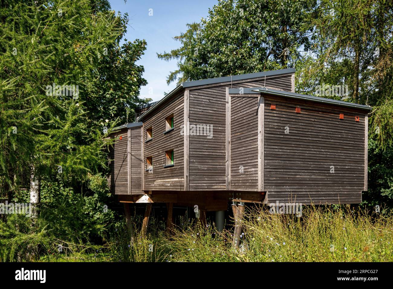 Maisons dans les arbres dans le Panarbora nature Adventure Park à Waldbroel, Bergisches Land, Rhénanie du Nord-Westphalie, Allemagne. Baumhaeuser Naturerlebnispark Panar Banque D'Images