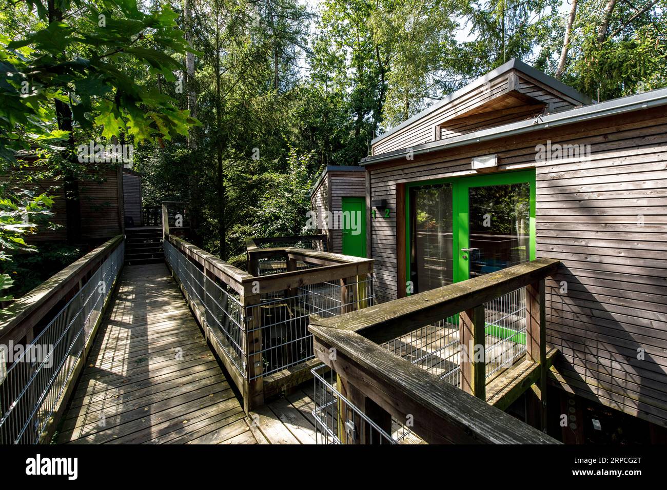 Maisons dans les arbres dans le Panarbora nature Adventure Park à Waldbroel, Bergisches Land, Rhénanie du Nord-Westphalie, Allemagne. Baumhaeuser Naturerlebnispark Panar Banque D'Images