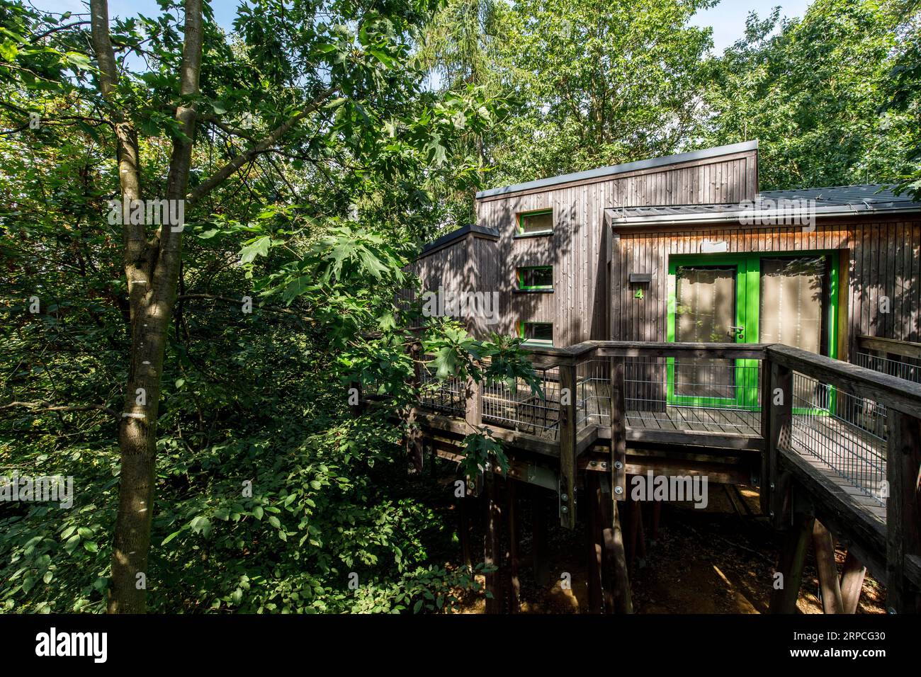 Maisons dans les arbres dans le Panarbora nature Adventure Park à Waldbroel, Bergisches Land, Rhénanie du Nord-Westphalie, Allemagne. Baumhaeuser Naturerlebnispark Panar Banque D'Images
