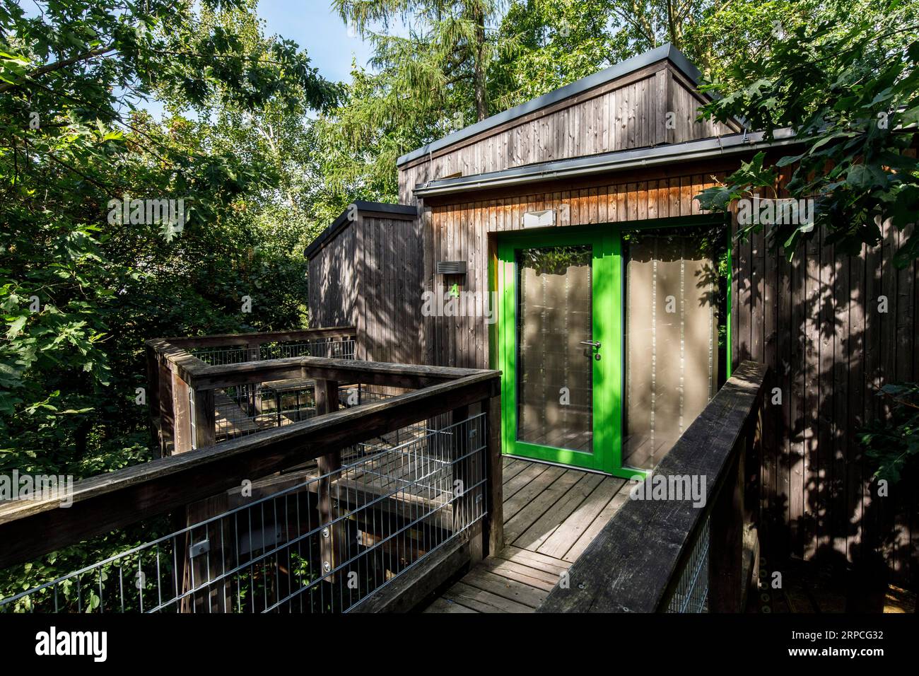 Maisons dans les arbres dans le Panarbora nature Adventure Park à Waldbroel, Bergisches Land, Rhénanie du Nord-Westphalie, Allemagne. Baumhaeuser Naturerlebnispark Panar Banque D'Images