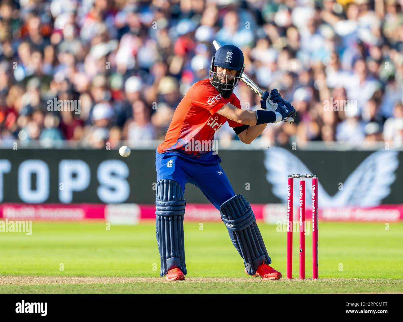 Moeen Ali bat pour l'Angleterre dans le 3e match Vitality IT20 entre l'Angleterre et la Nouvelle-Zélande Banque D'Images